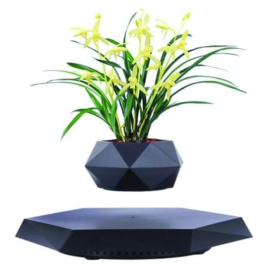 Maceta Flotante LMingKun Negra con Levitación Magnética