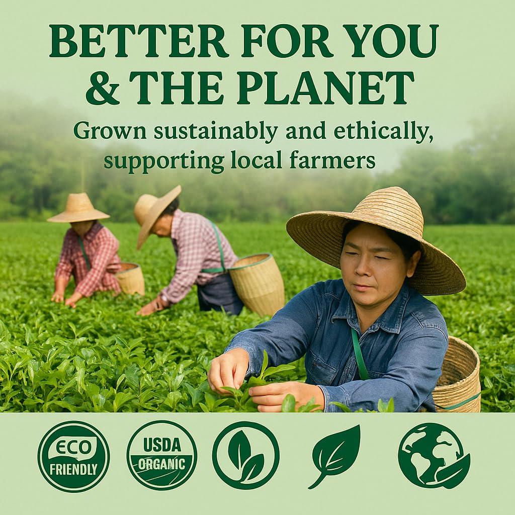 Té Herbal Cup Orgánico Matcha Japonés 56.7g Ashwagandha Shatavari