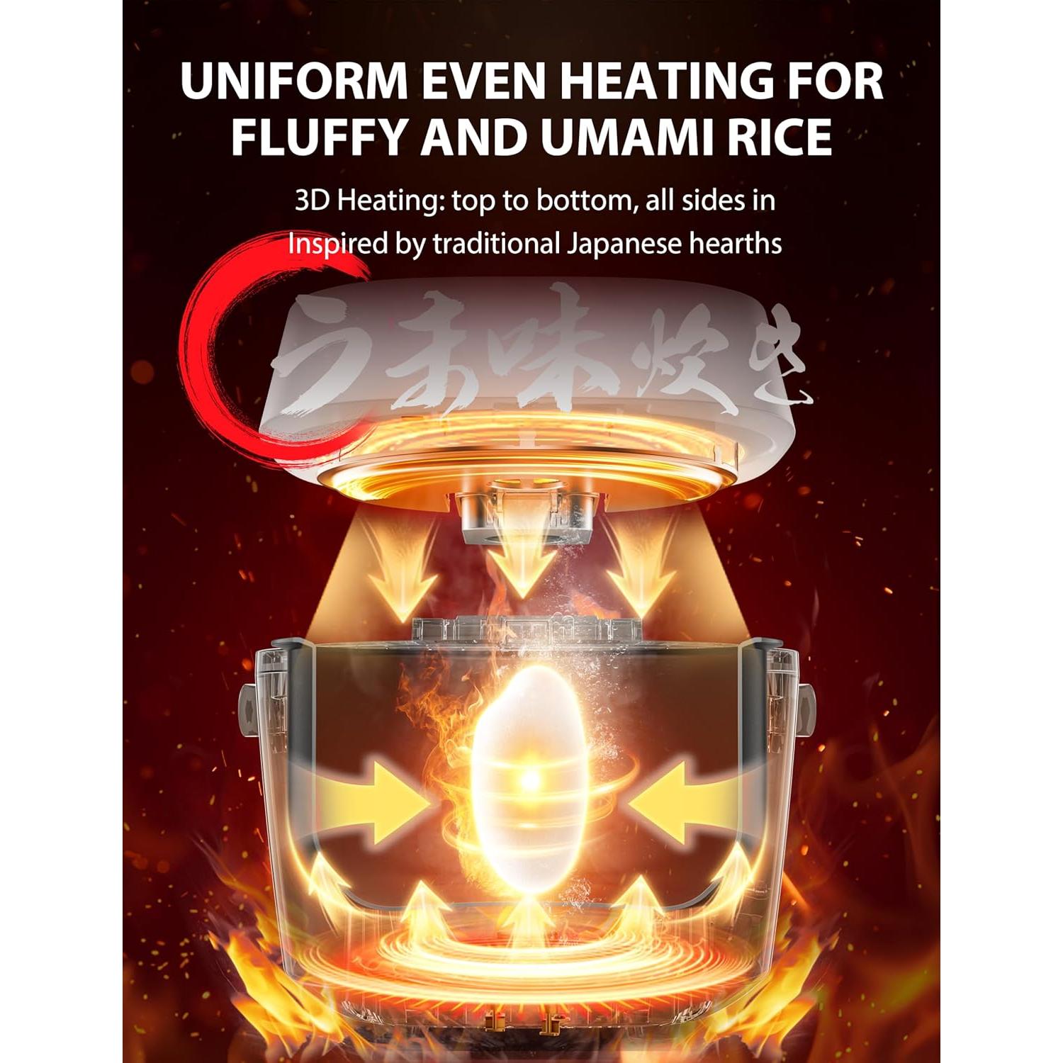 Olla Arrocera TOSHIBA RC-10DRUNA 5.5 Tazas, 15 Funciones