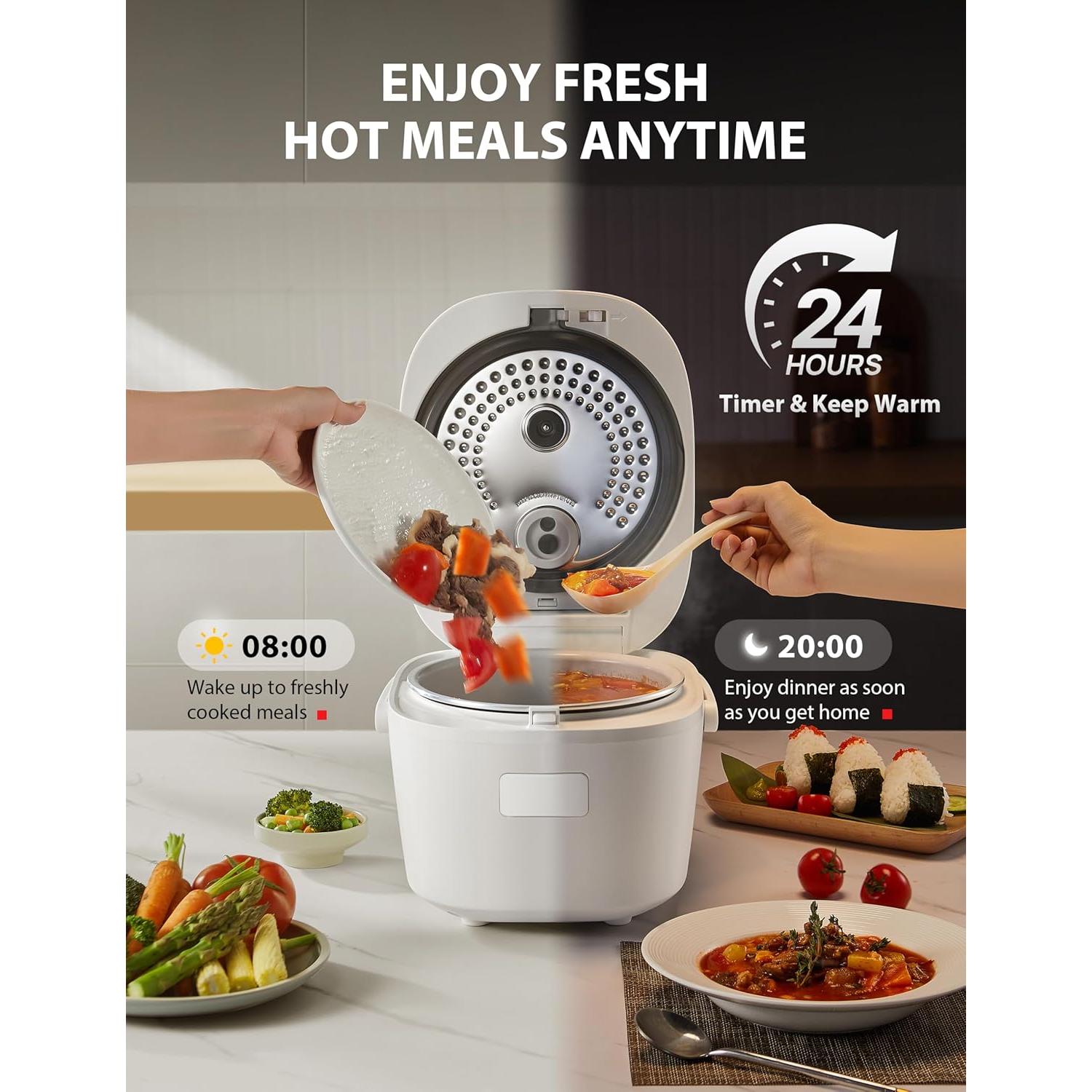 Olla Arrocera TOSHIBA RC-10DRUNA 5.5 Tazas, 15 Funciones