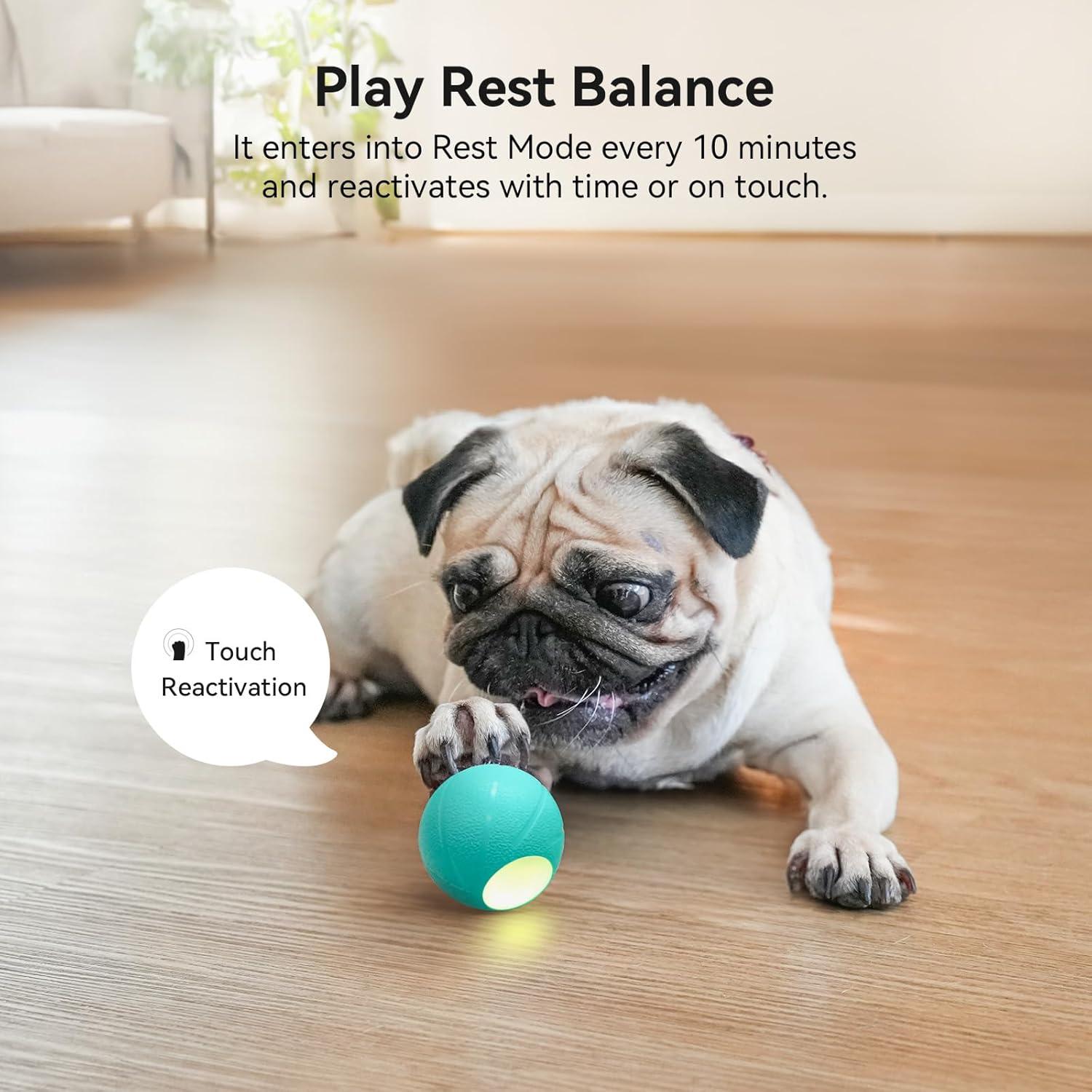 Pelota Interactiva para Perros Hoochii Wicked Ball SE