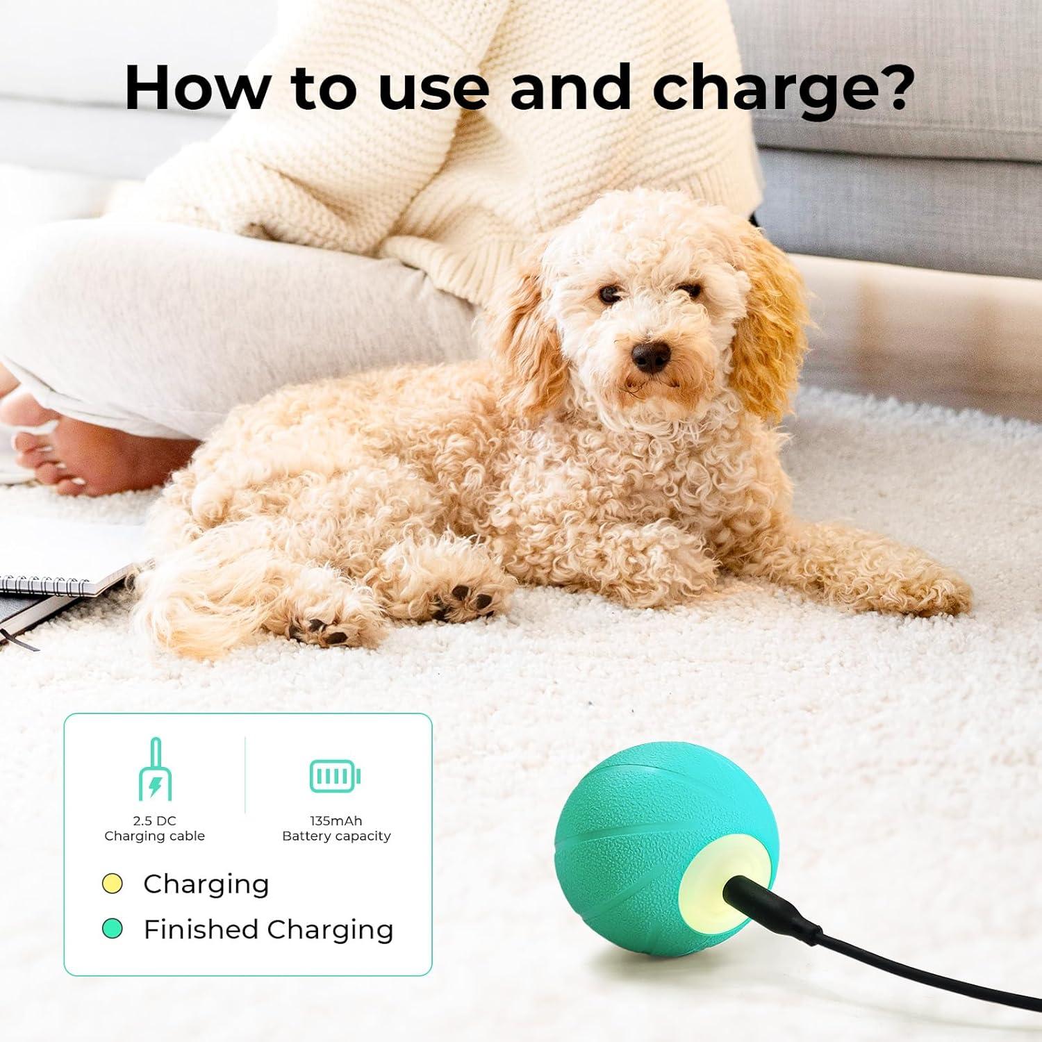 Pelota Interactiva para Perros Hoochii Wicked Ball SE