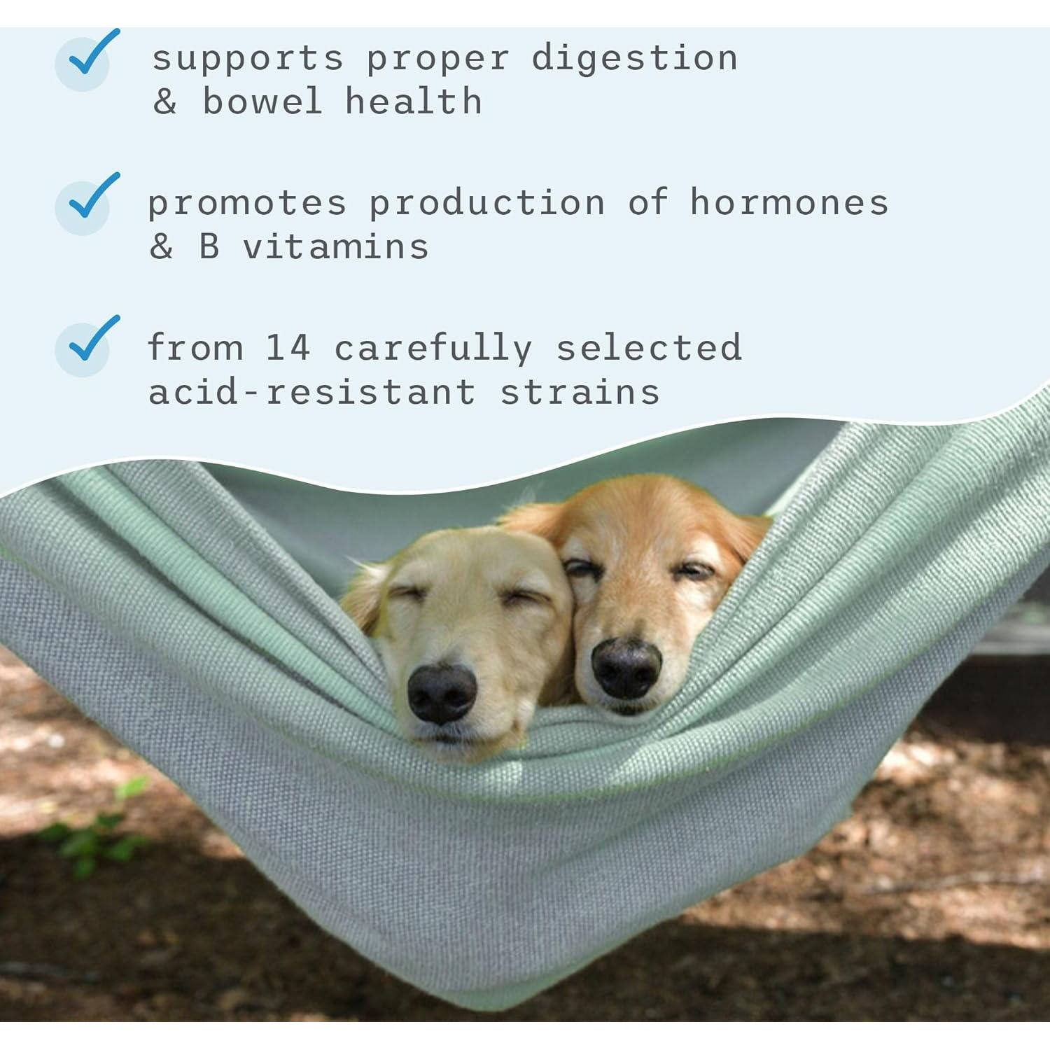 Probióticos Completos Dr. Mercola para Gatos y Perros 90 g