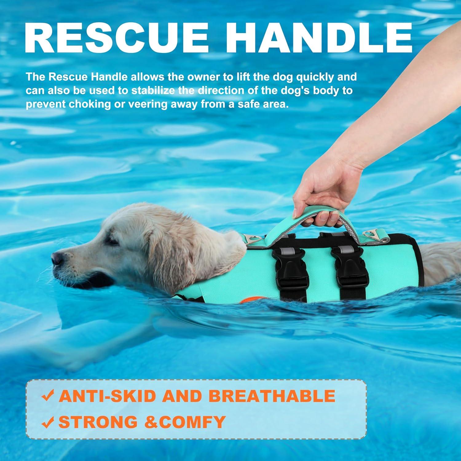 Chaleco Salvavidas para Perros Doglay - Flotabilidad Alta Verde Acuático