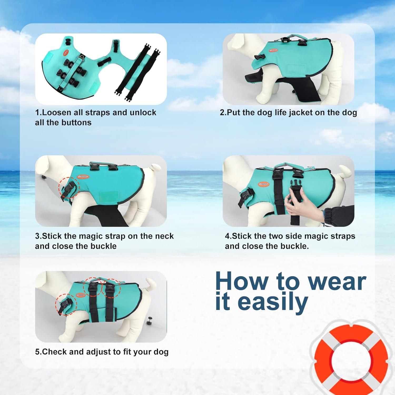 Chaleco Salvavidas para Perros Doglay - Flotabilidad Alta Verde Acuático