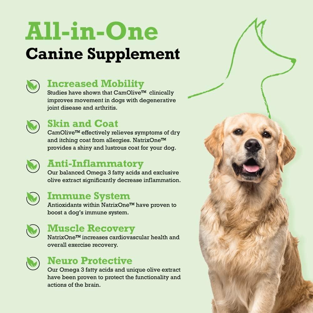 Aceite de Camelina Puro NatrixOne 226.8 g - Suplemento para Perros