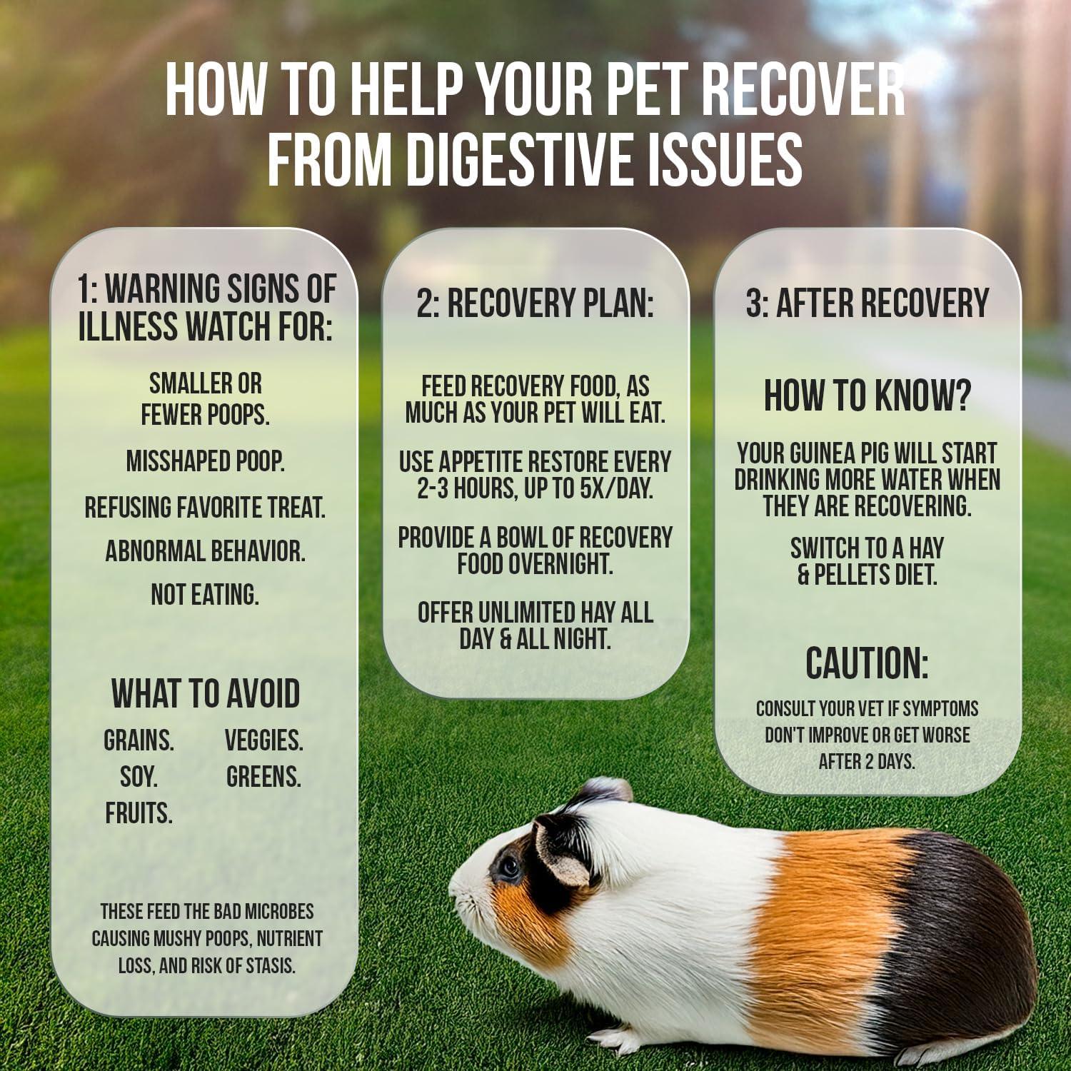 Kit de Emergencia para Cobayas Sherwood Pet Health 180g