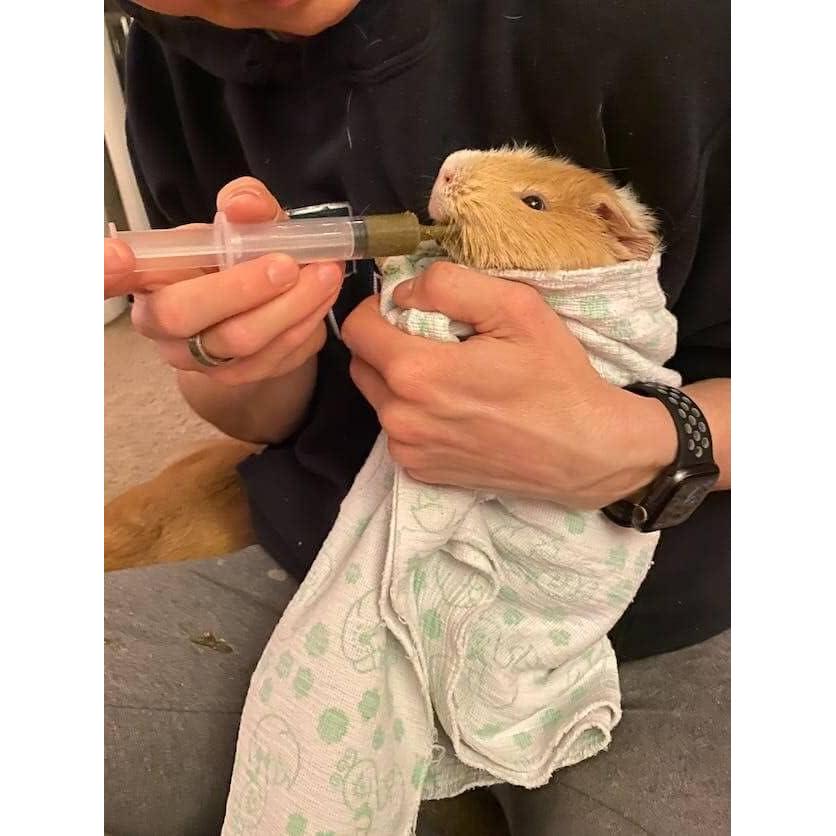 Kit de Emergencia para Cobayas Sherwood Pet Health 180g