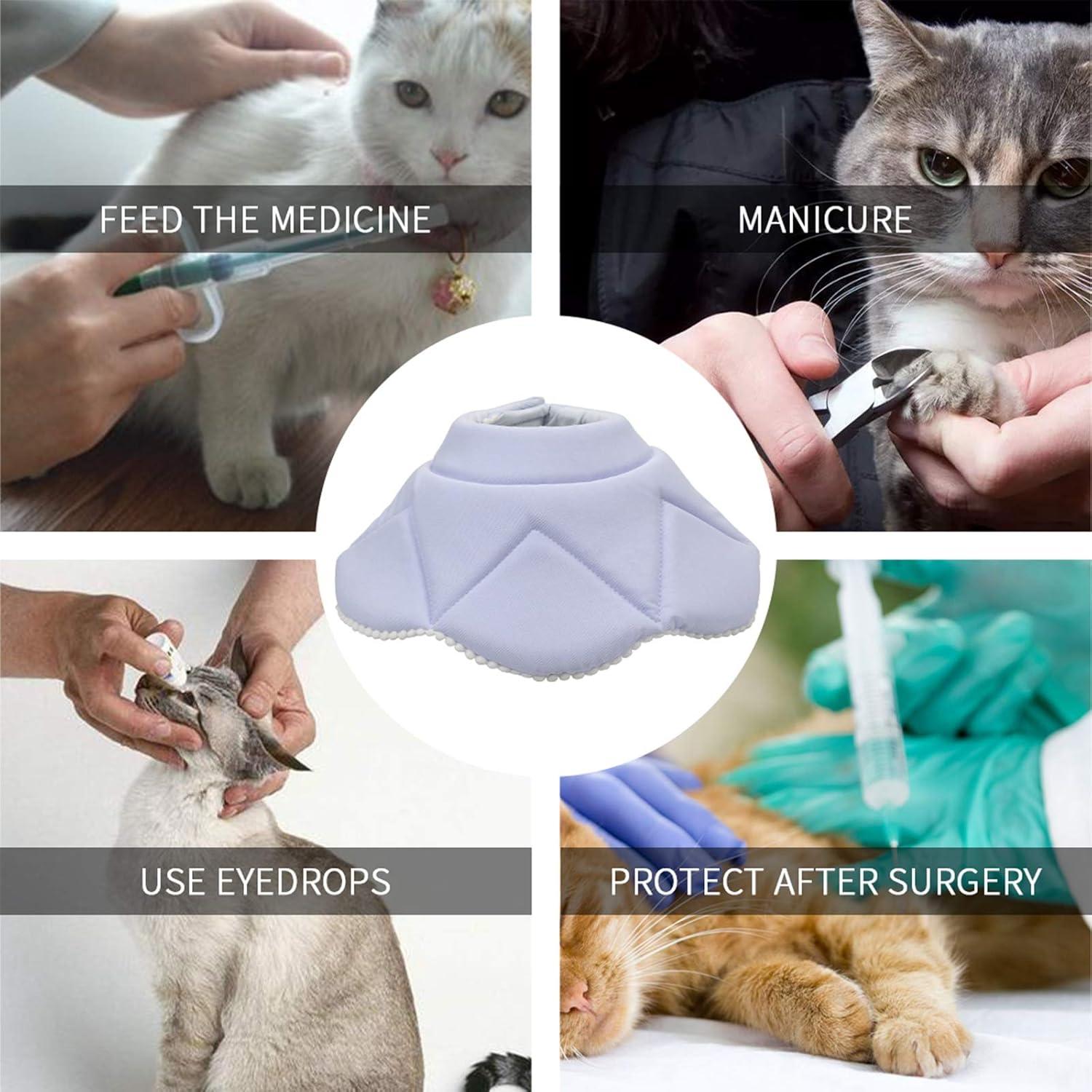 Collar de Recuperación Suave WZ PET para Gato y Perro Pequeño Azul