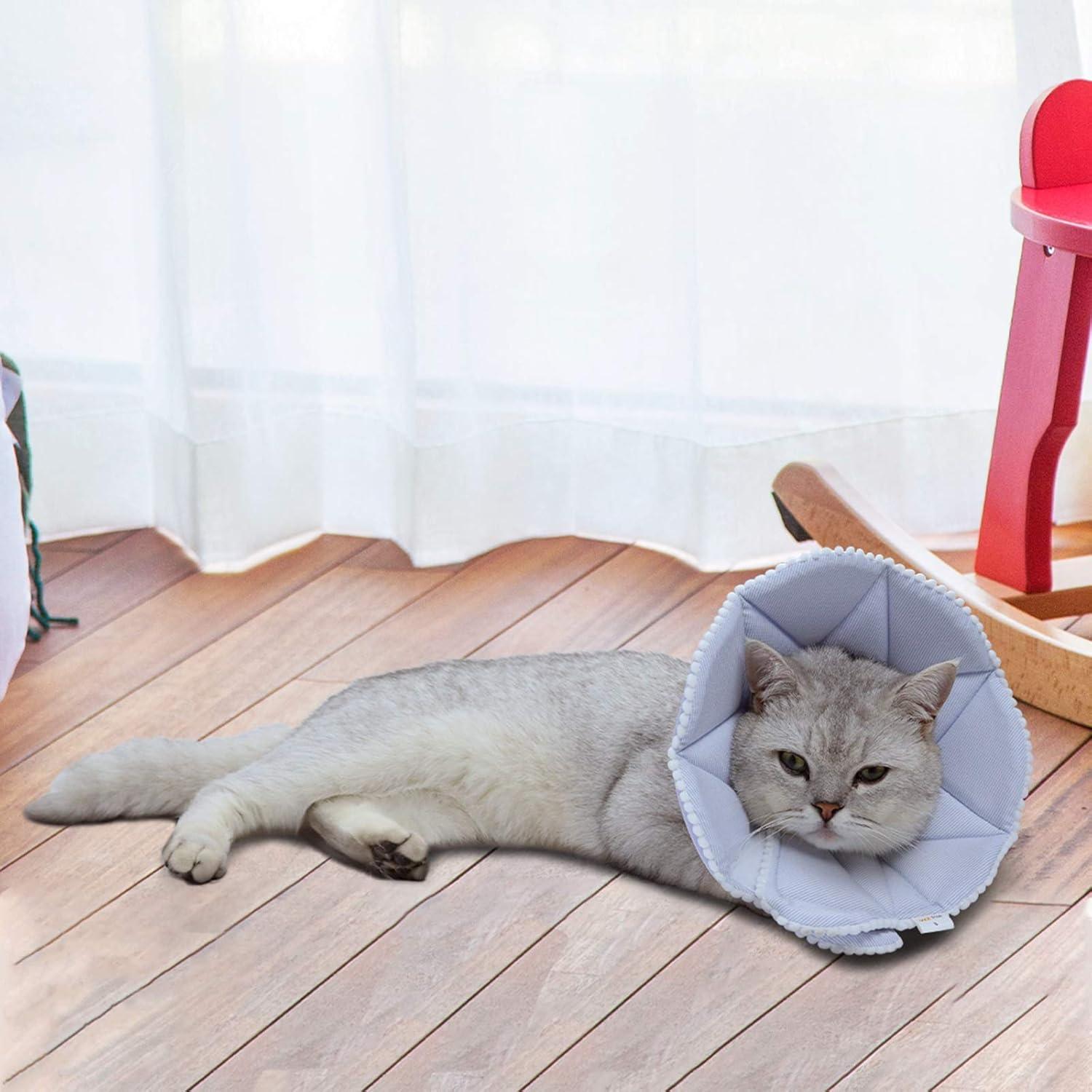 Collar de Recuperación Suave WZ PET para Gato y Perro Pequeño Azul