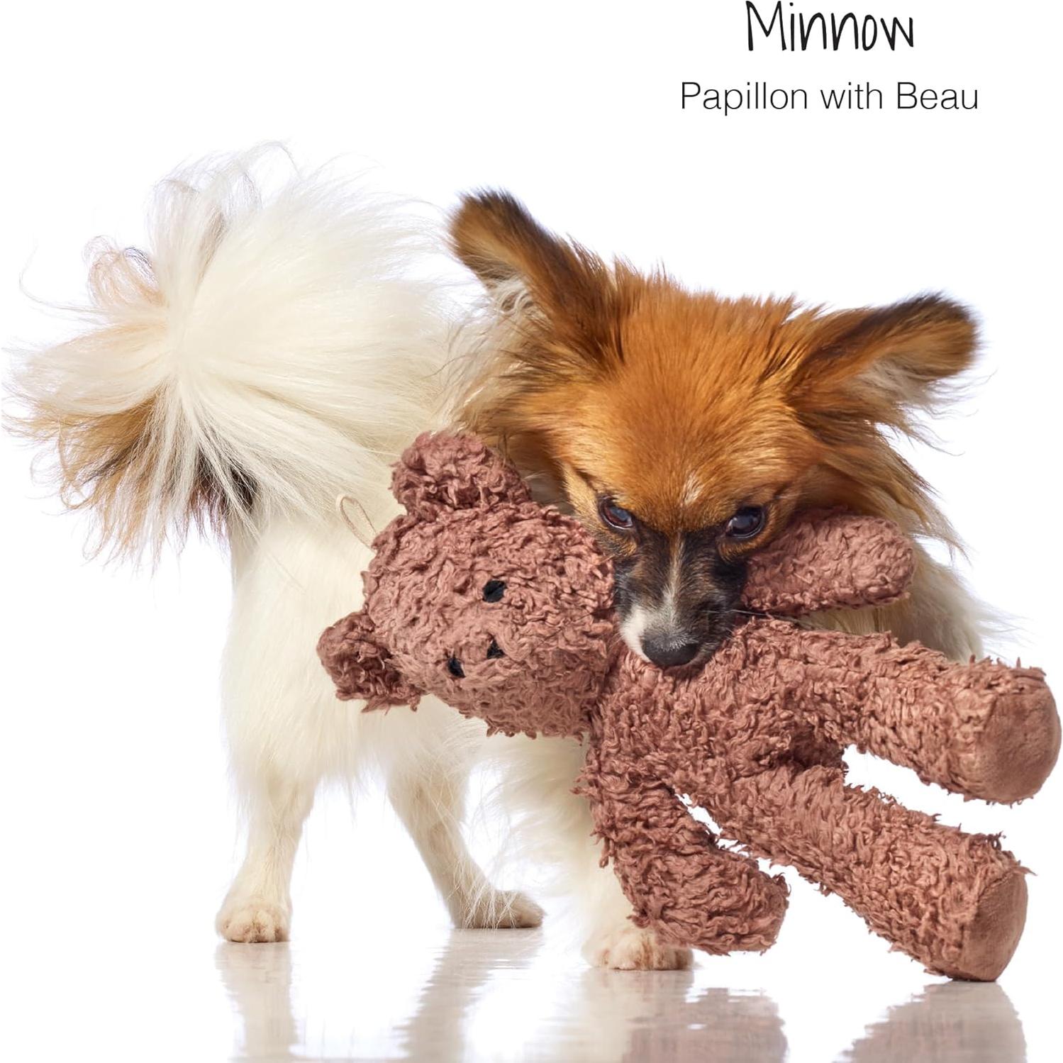 Juguete de Perro de Algodón Pasión por las Mascotas Oso