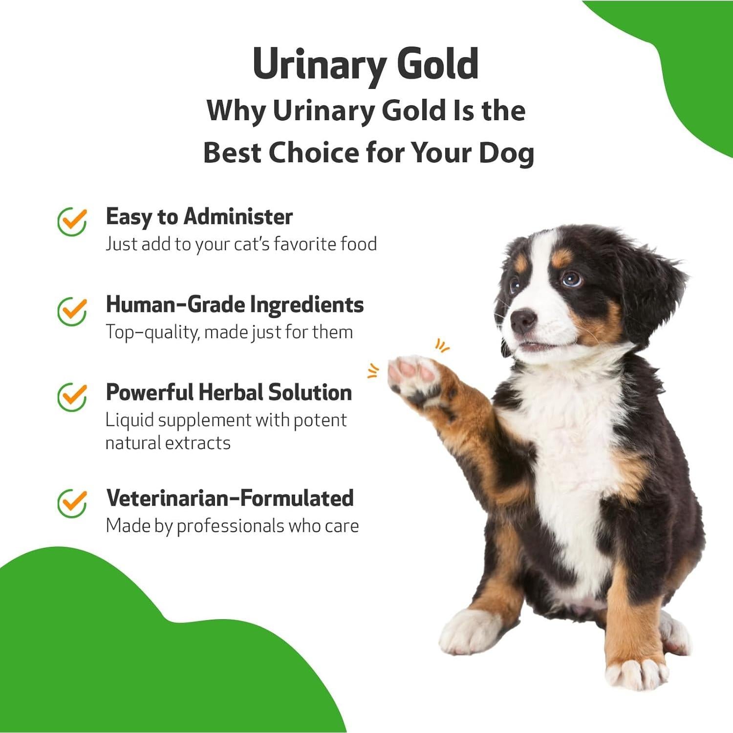 Suplemento Urinary Gold Pet Wellbeing 59 ml para Perros