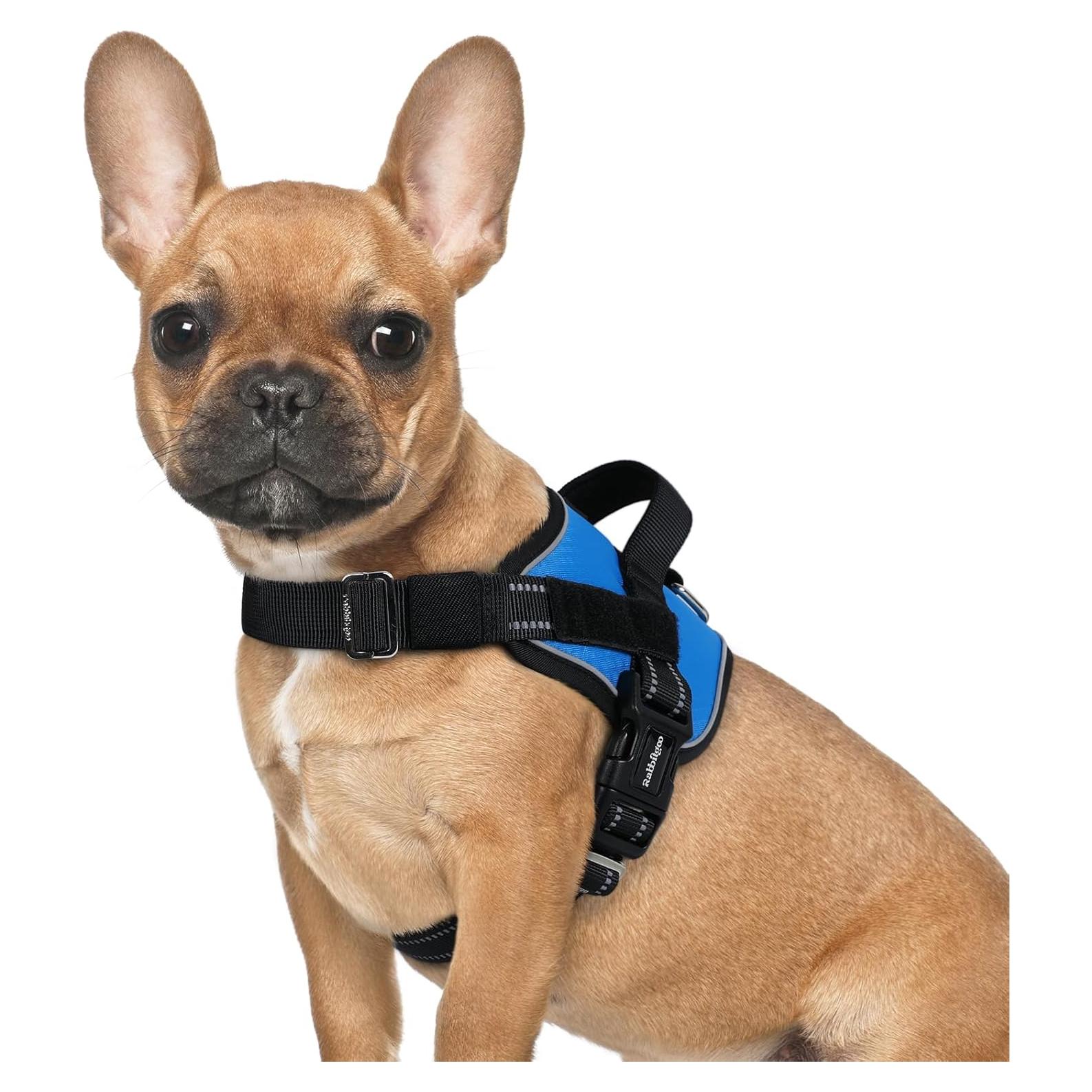 Arnés para Perros Rabbitgoo Azul S - Chaleco Ajustable y Reflectante