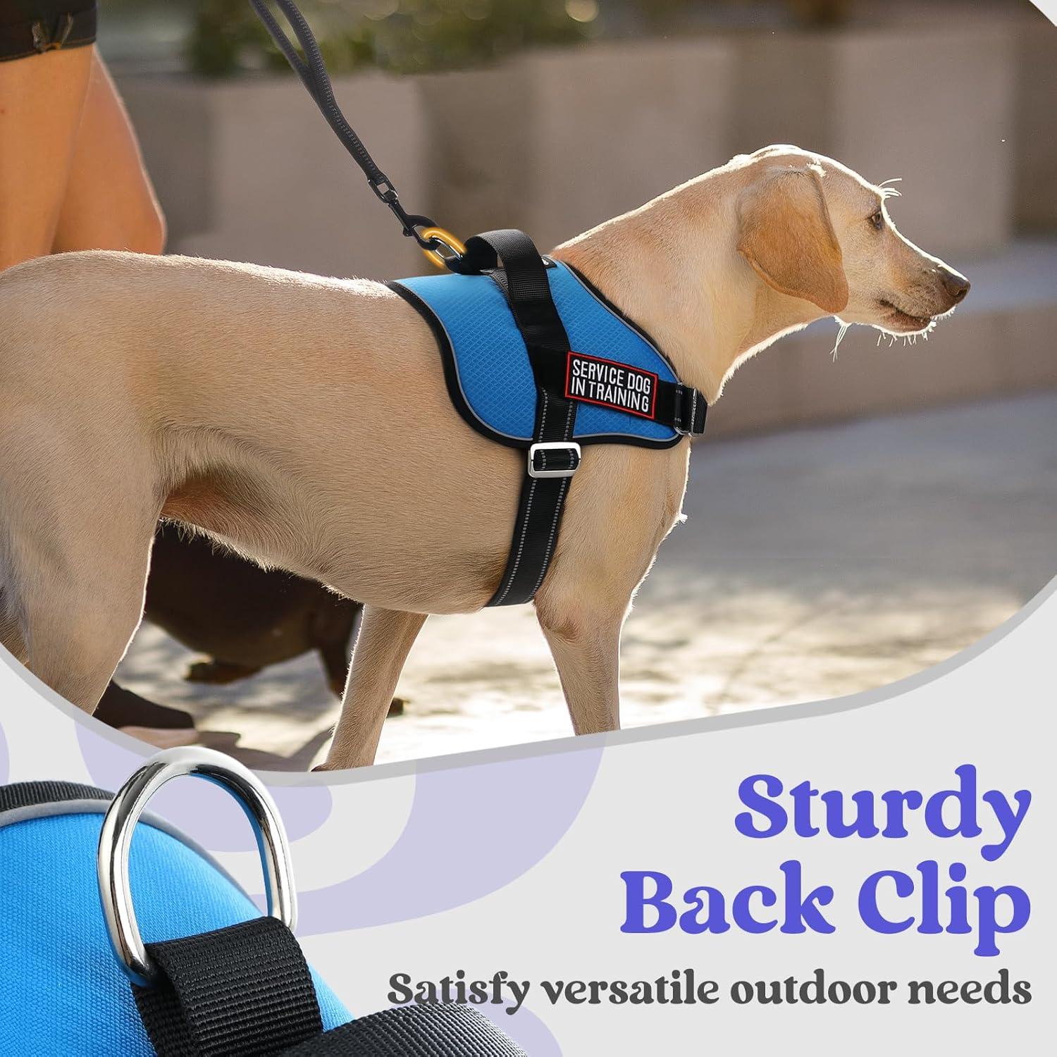 Arnés para Perros Rabbitgoo Azul S - Chaleco Ajustable y Reflectante