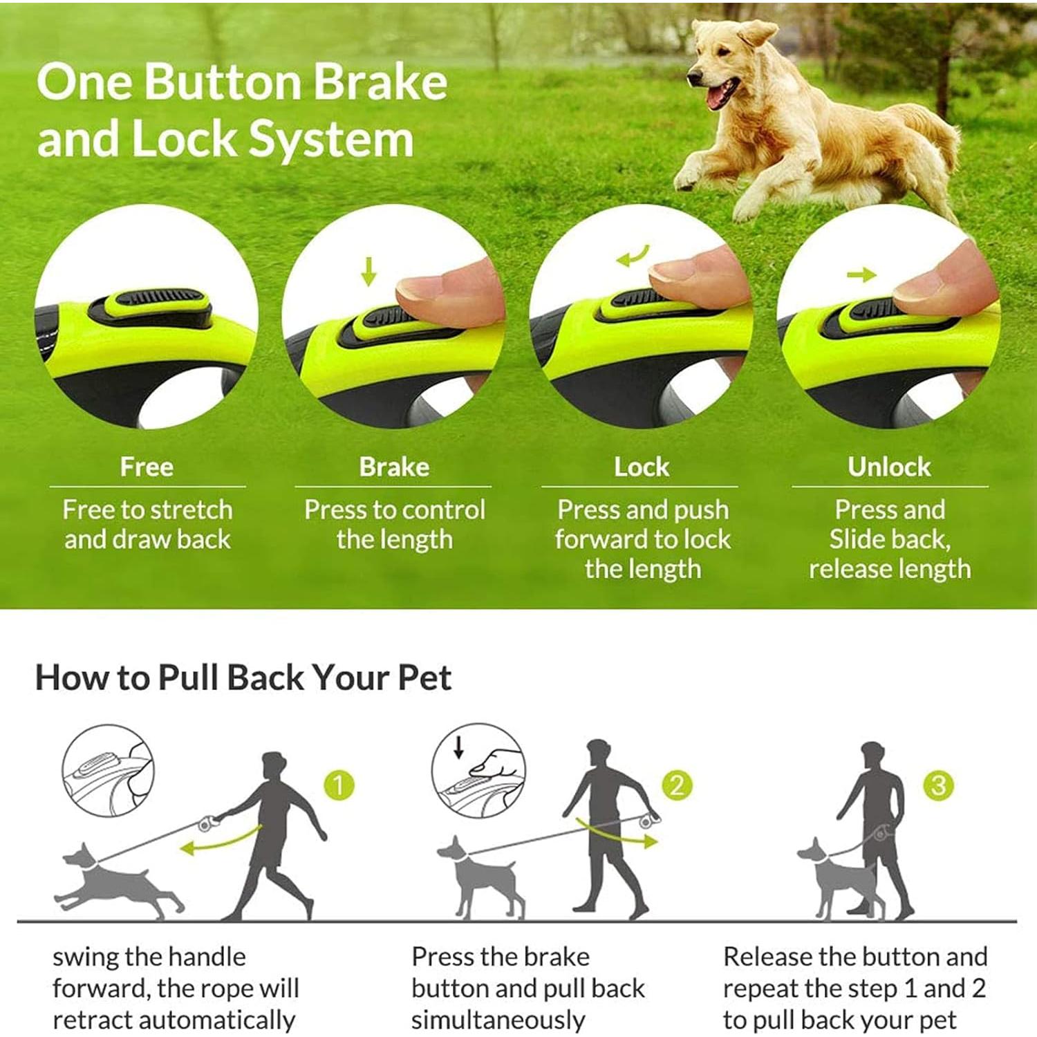 Correa de Perro Retráctil KUDI 4.88m Nylon Antideslizante Verde