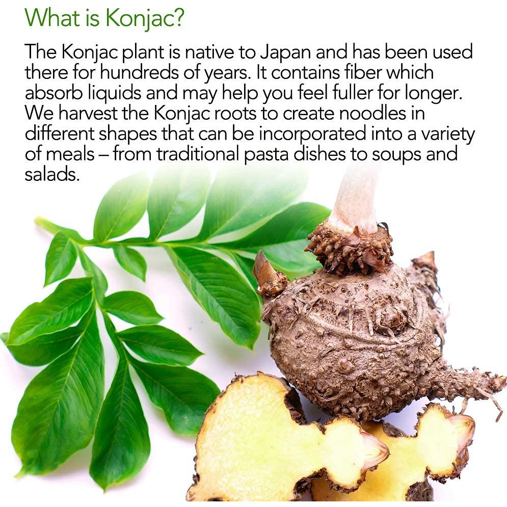 Fideos Shirataki Konjac Cabello de Ángel con Champiñón 270 g