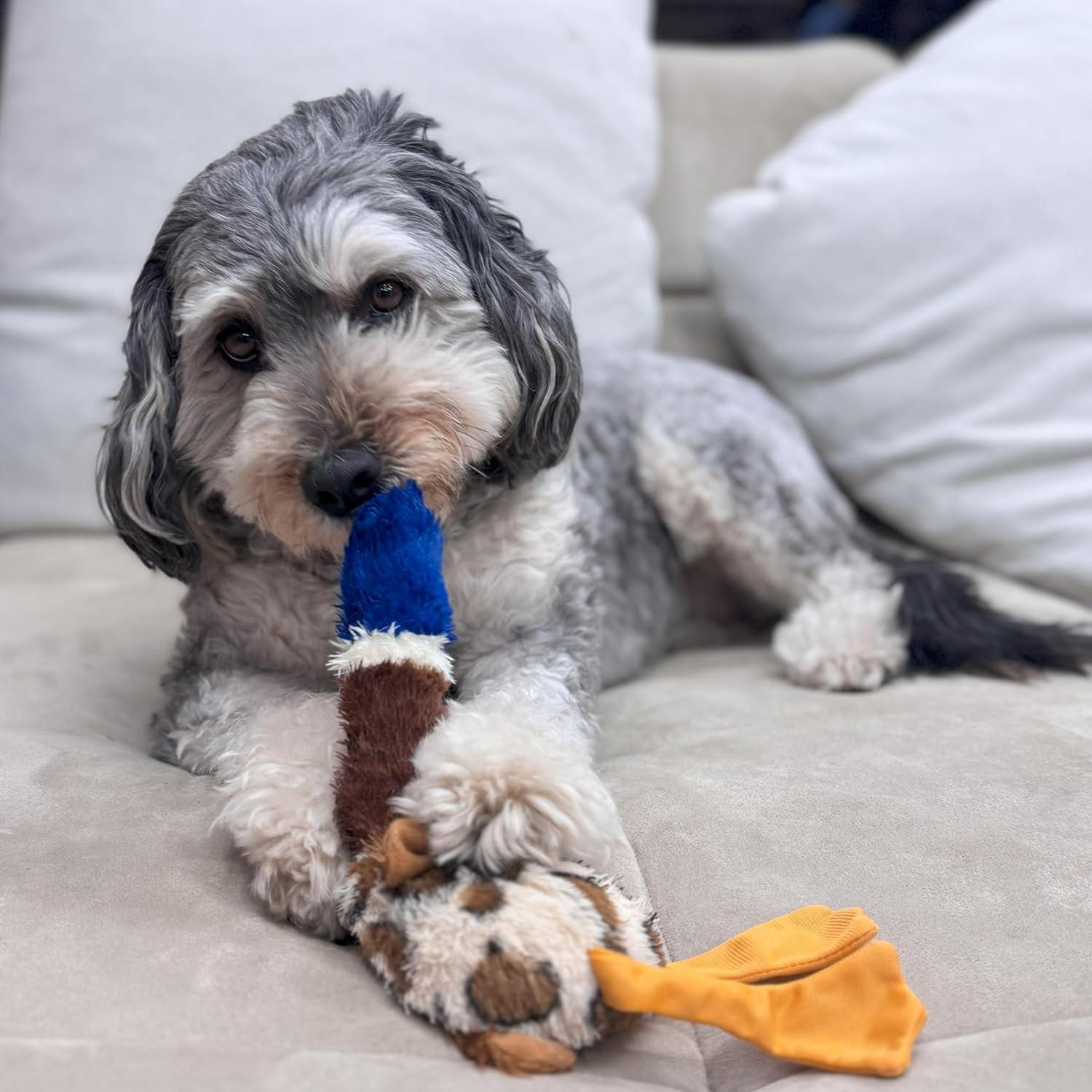 Juguete para Perros SPOT Skinneeez Plus Pato 38cm Sin Relleno