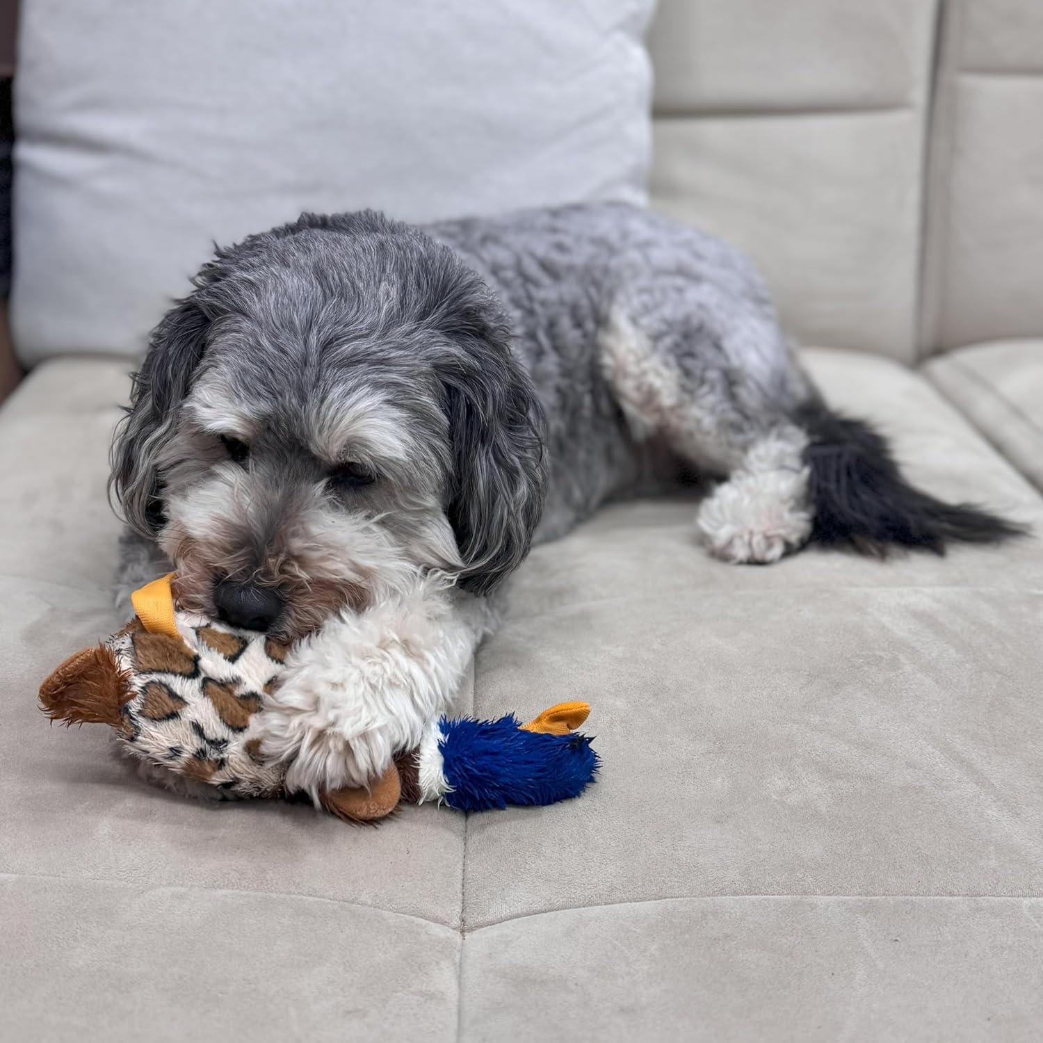 Juguete para Perros SPOT Skinneeez Plus Pato 38cm Sin Relleno