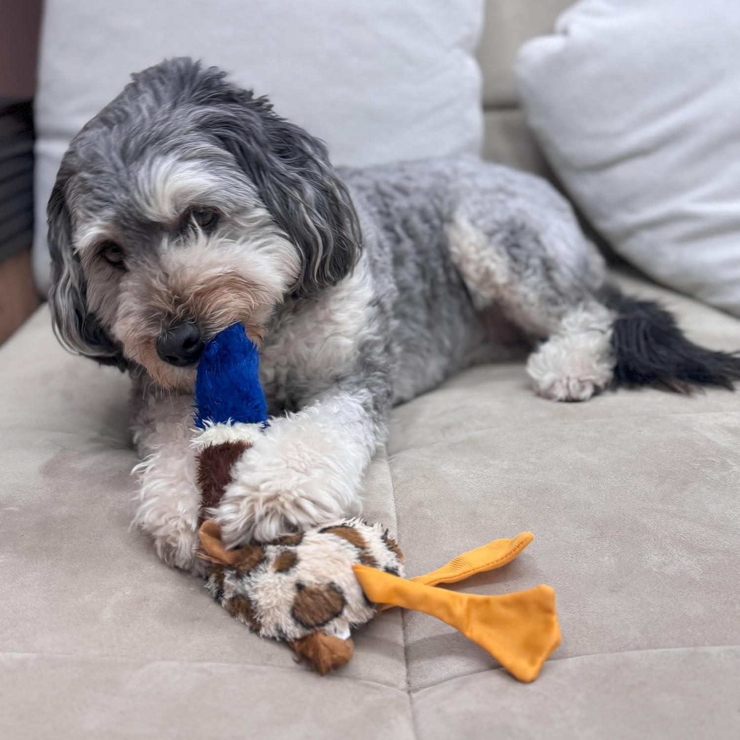 Juguete para Perros SPOT Skinneeez Plus Pato 38cm Sin Relleno