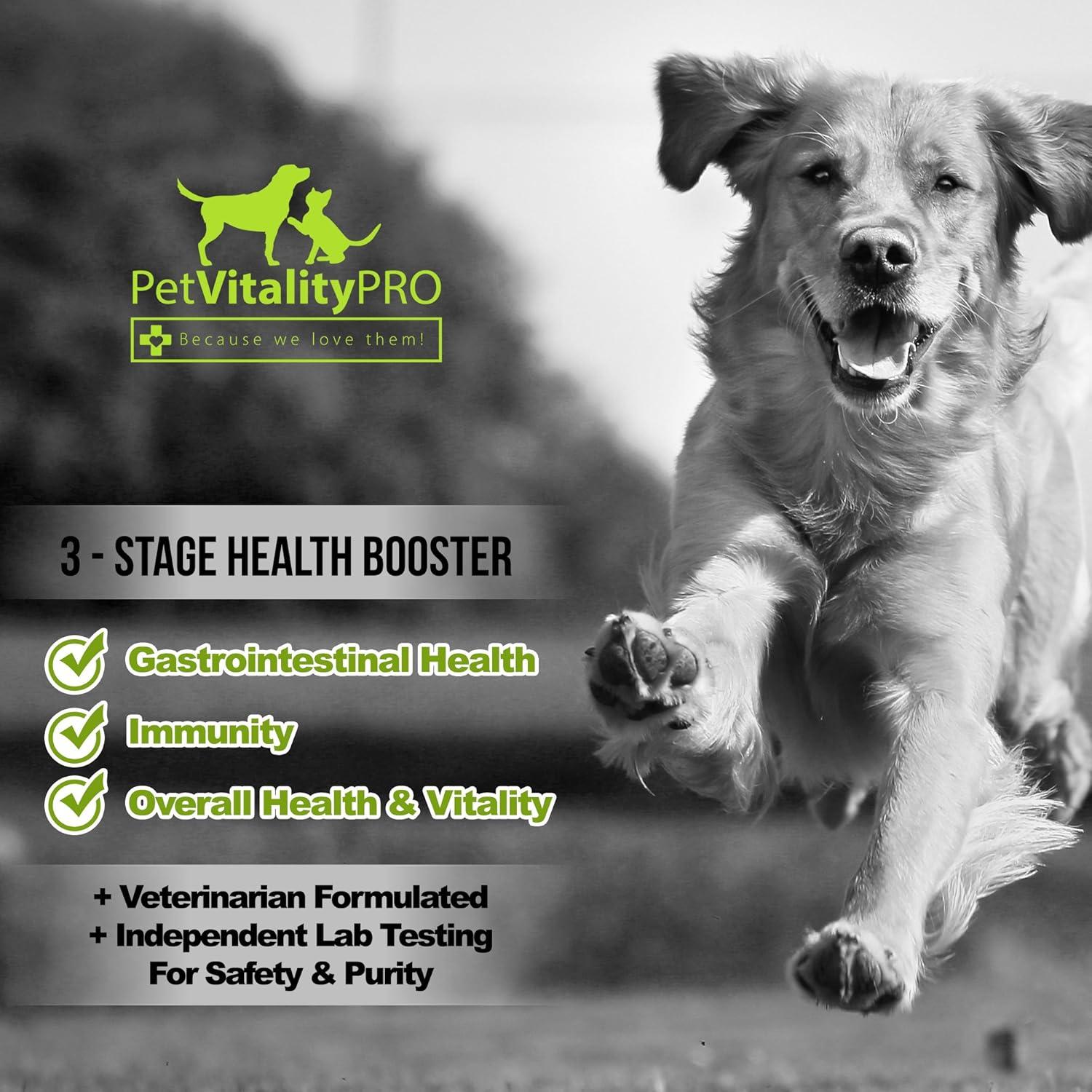 Probióticos Premium para Perros PetVitalityPRO - 60 Chews