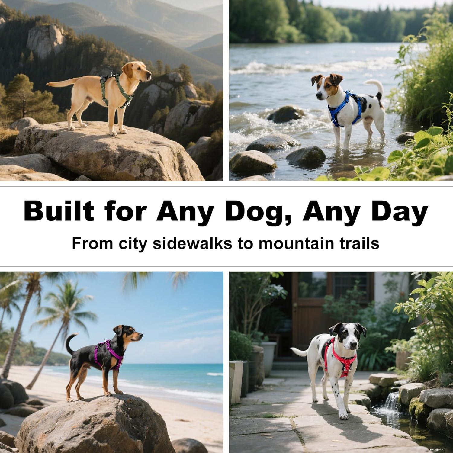 Arnés Ajustable para Perros Plutus Pet Sin Tirones Beige S