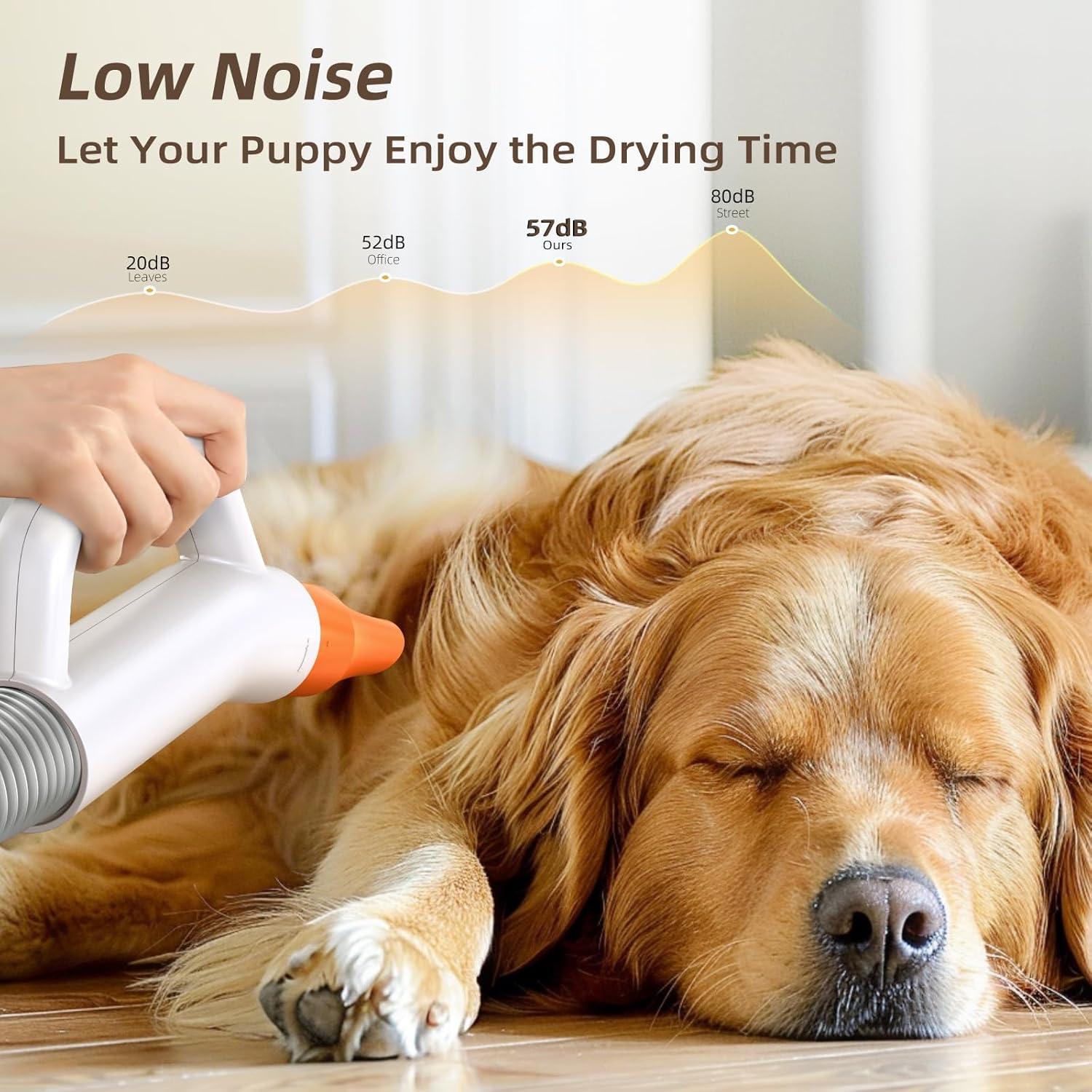 Secador de Pelo para Perros BUENKEE 495 ft/s 2m Manguera