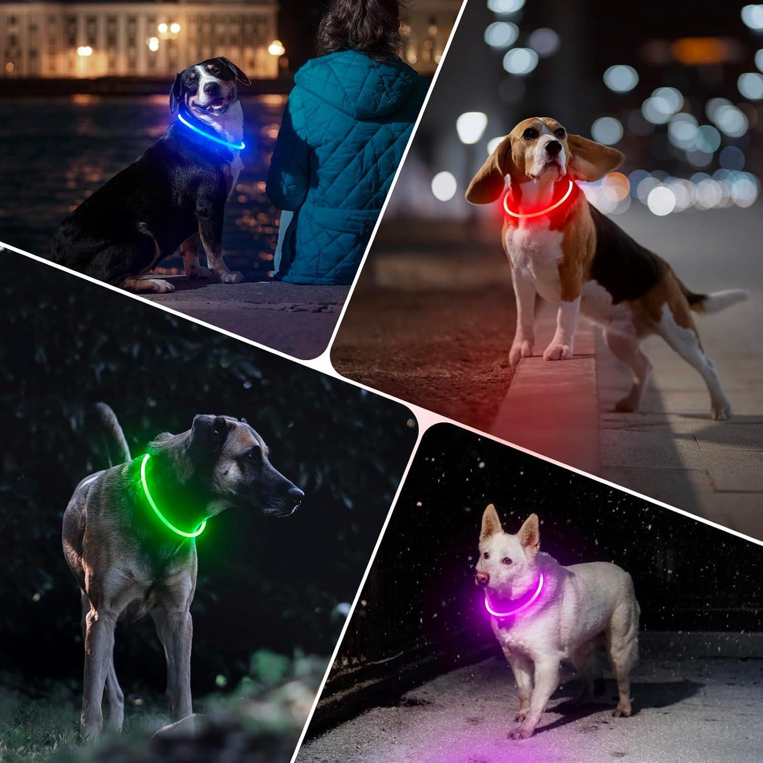 Collar LED para Perros BSEEN 70cm Azul - Impermeable y Recargable