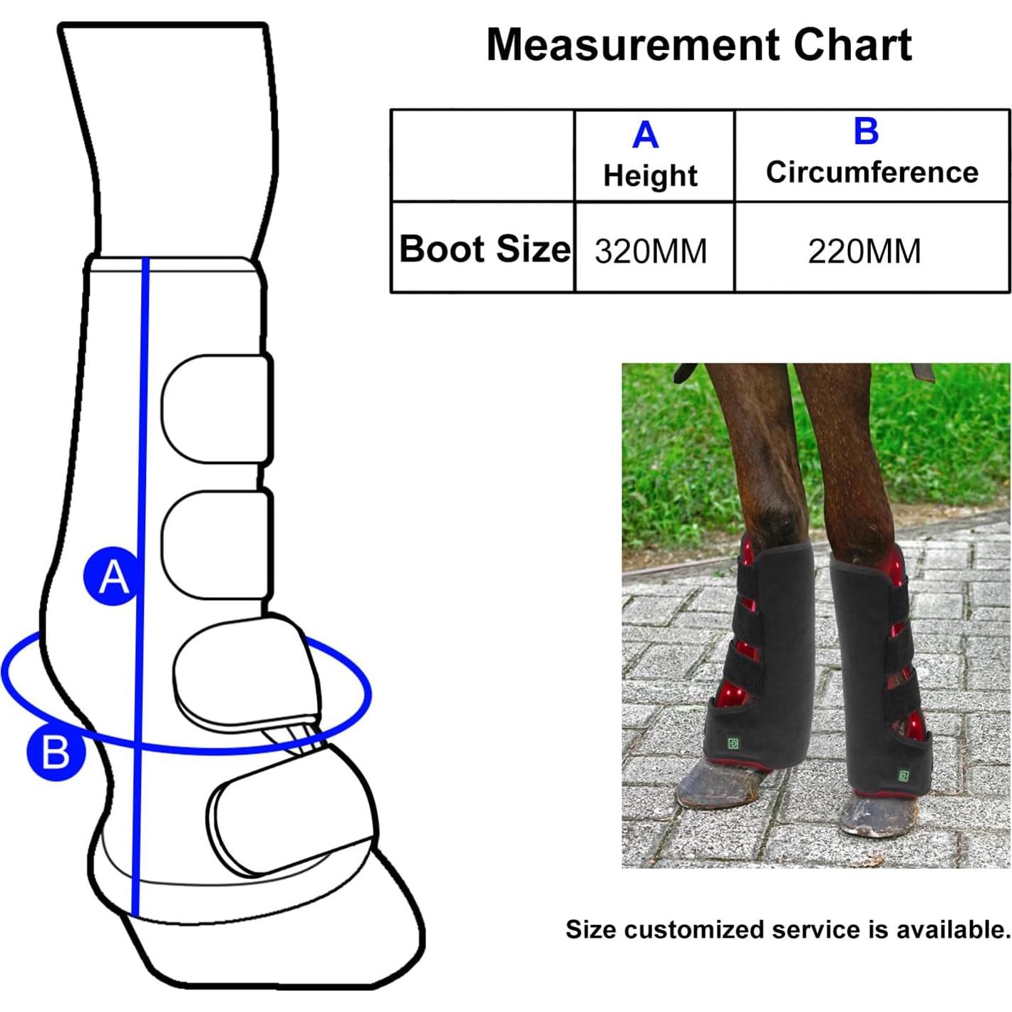 Terapia de Luz Roja FSDLJSP para Dolor de Rodilla Equina 850nm 660nm