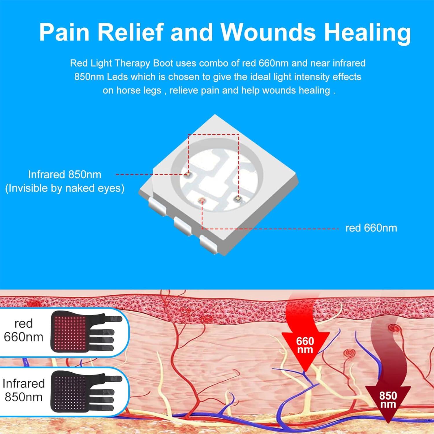 Terapia de Luz Roja FSDLJSP para Dolor de Rodilla Equina 850nm 660nm