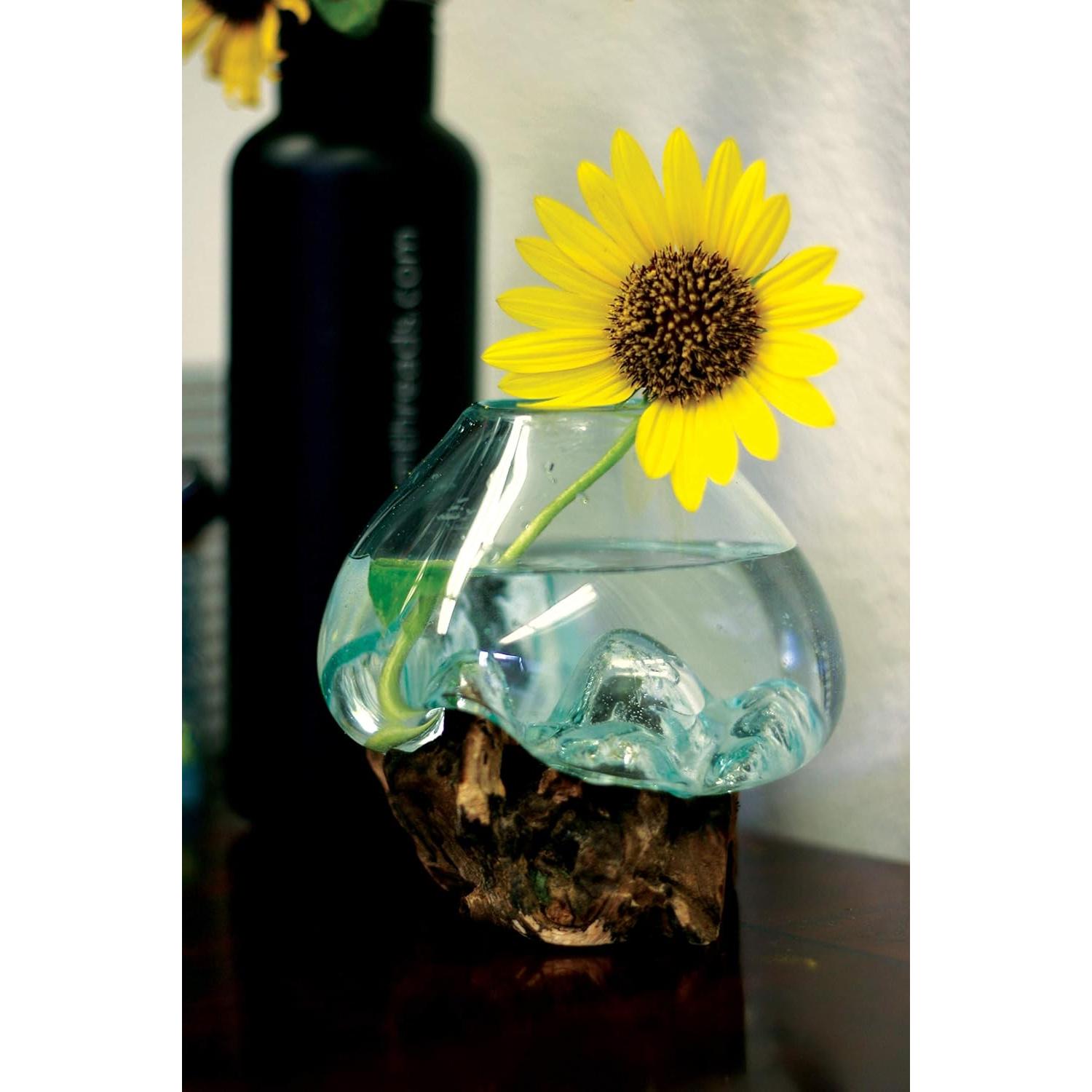 Terrario de Vidrio Reciclado Cohasset 11.4 cm para Plantas