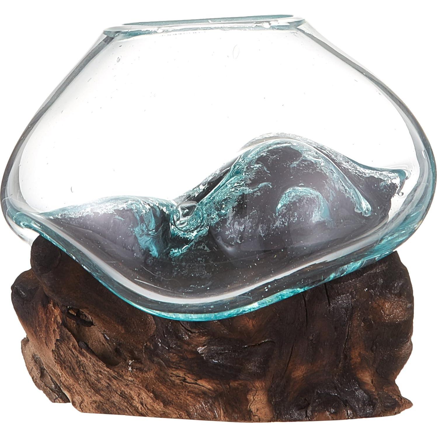 Terrario de Vidrio Reciclado Cohasset 11.4 cm para Plantas