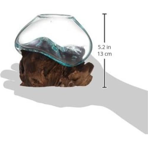 Terrario de Vidrio Reciclado Cohasset 11.4 cm para Plantas