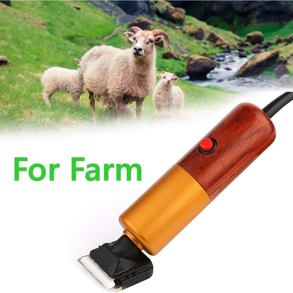 Cortadora de Pelo para Mascotas Dream Reach A-200W, Bajo Ruido