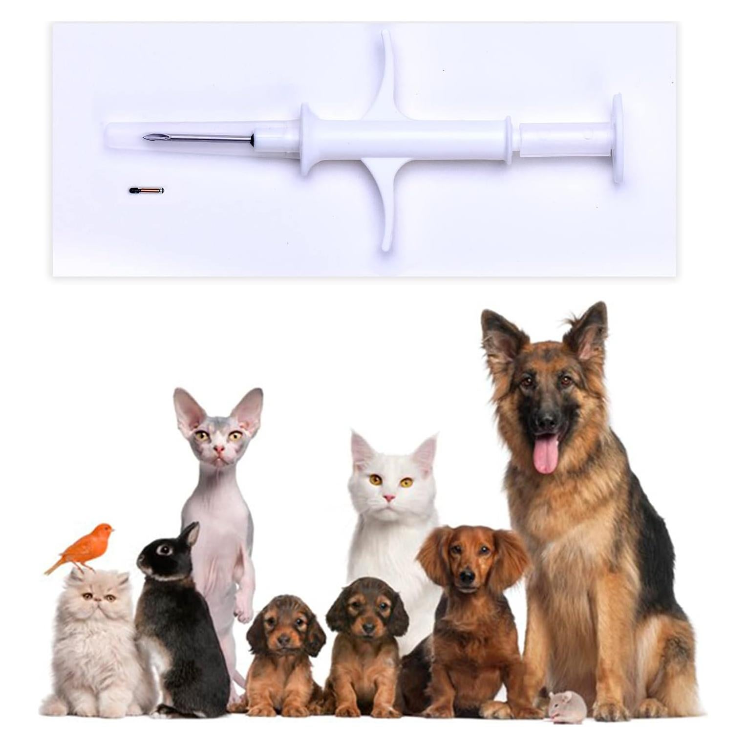 Microchip para Mascotas RexID 1.25mm con Etiqueta ID