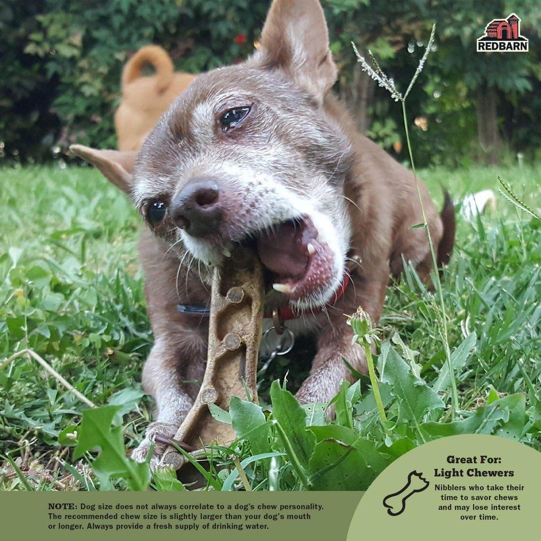 Golosinas Dentales para Perros Redbarn Chew-A-Bulls 6 Unidades