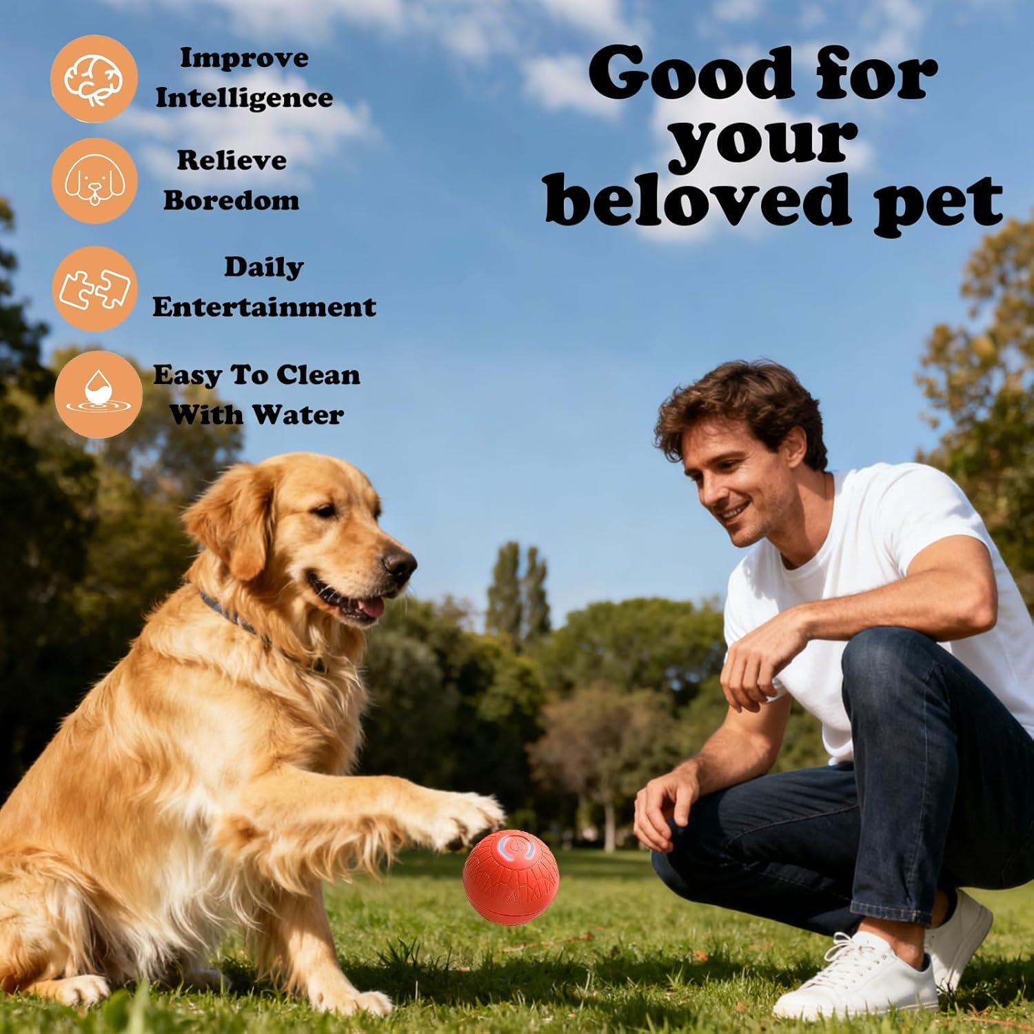 Bola de perro interactiva Aidmgndz 67mm auto-rebotante Naranja