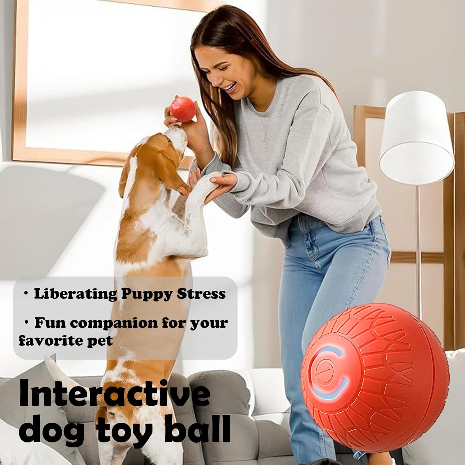 Bola de perro interactiva Aidmgndz 67mm auto-rebotante Naranja