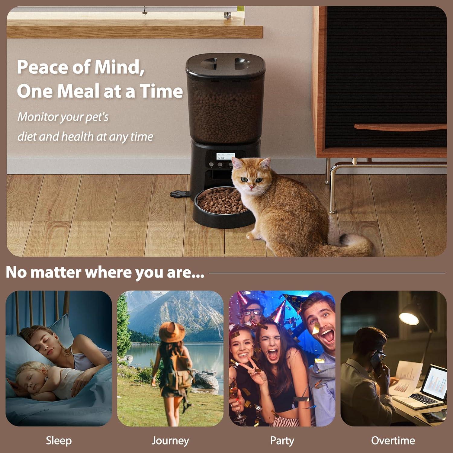 Dispensador Automático de Comida para Gatos Petrice 4L