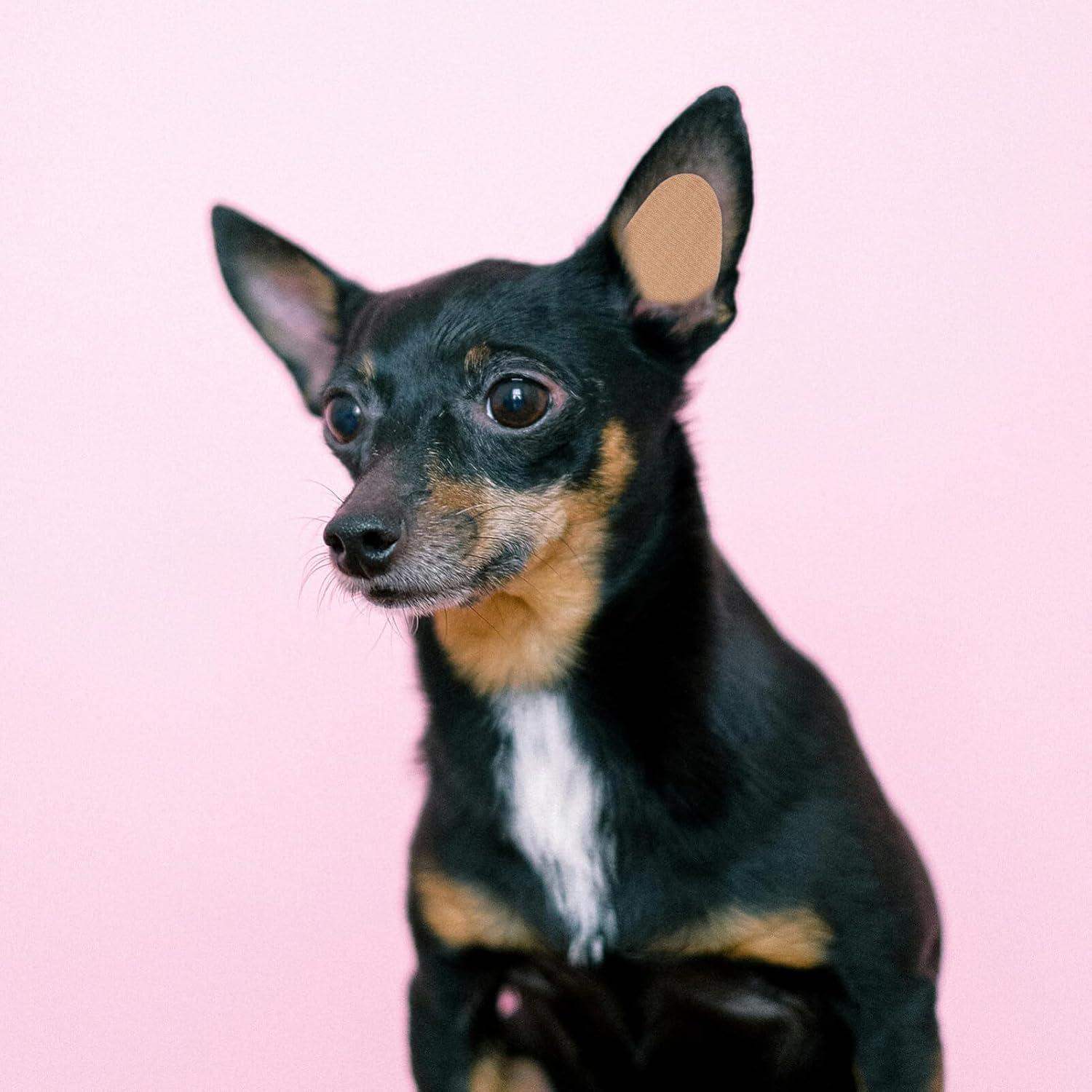 Soporte para Orejas de Perro VANZACK 5x2.5cm Corrección Fija