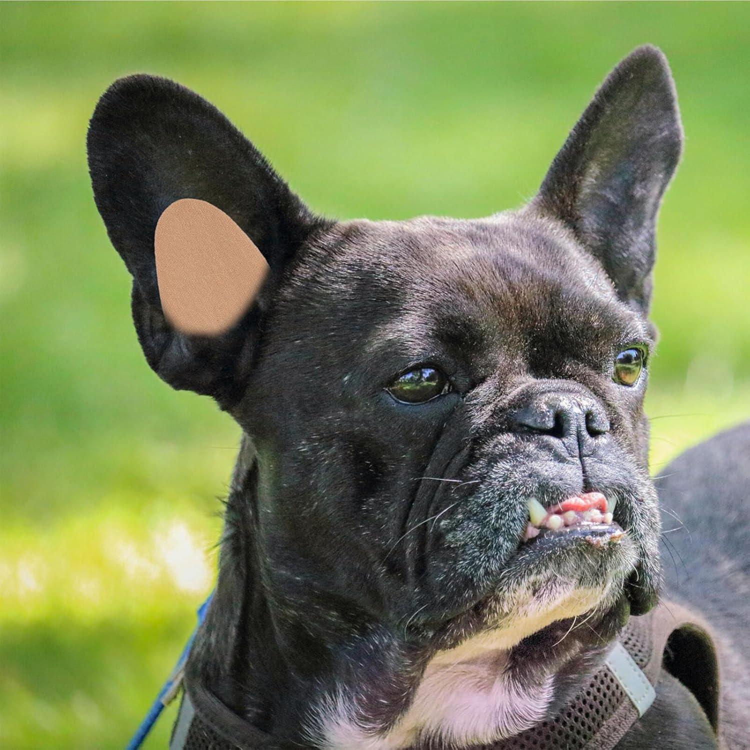 Soporte para Orejas de Perro VANZACK 5x2.5cm Corrección Fija