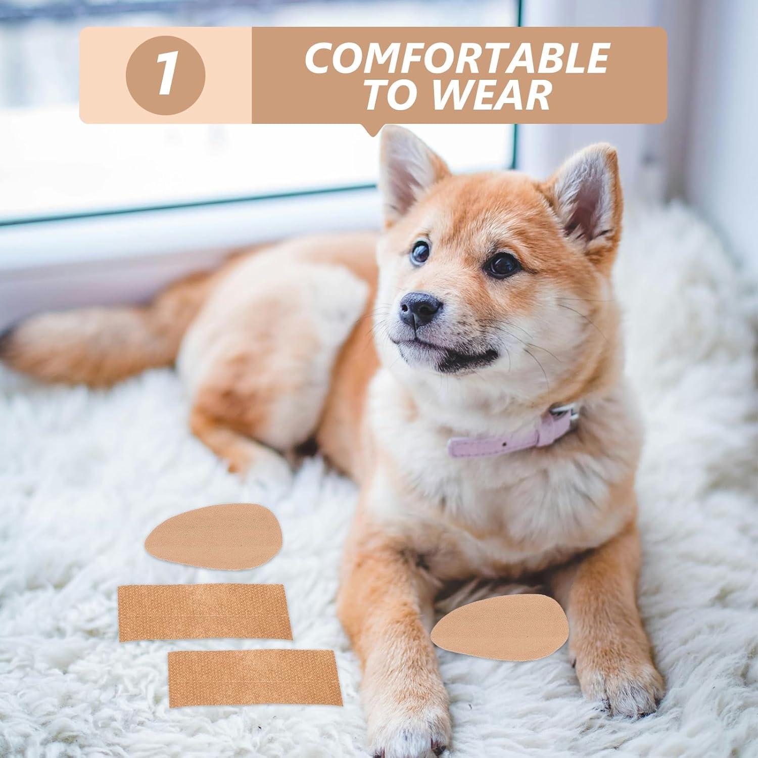 Soporte para Orejas de Perro VANZACK 5x2.5cm Corrección Fija