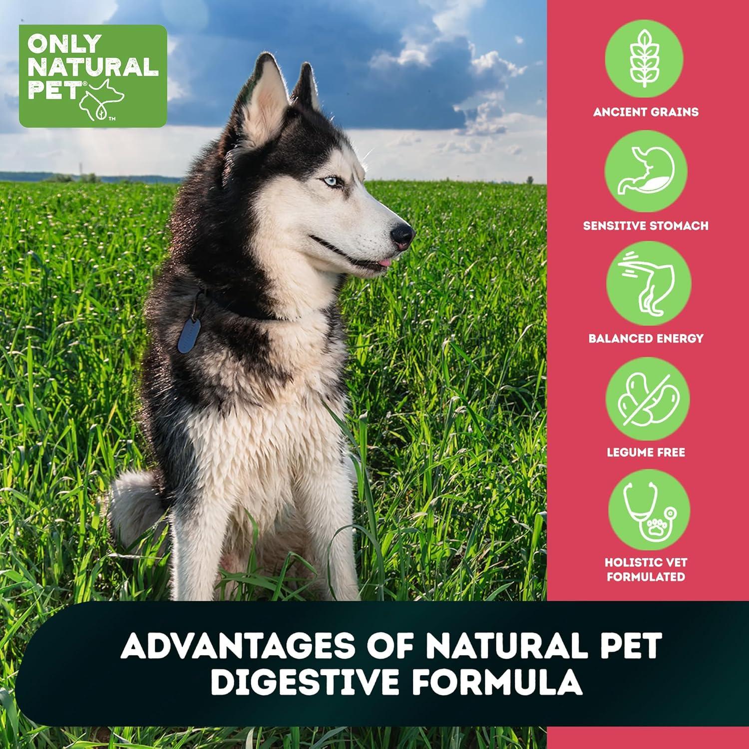 Comida para Perros Sin Granos Only Natural Pet 1.81 kg