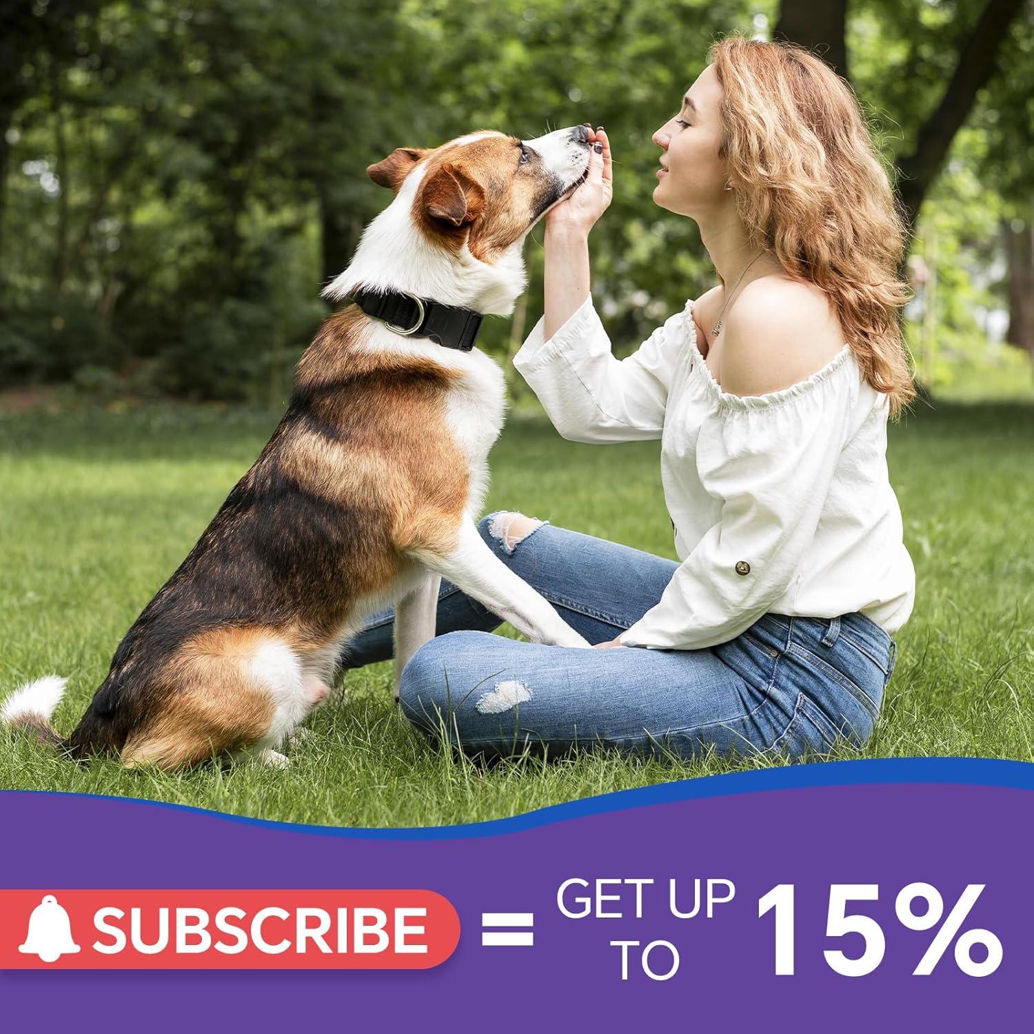 Suplemento Natural para Perros WEALLIN 60ml Sabor Tocino