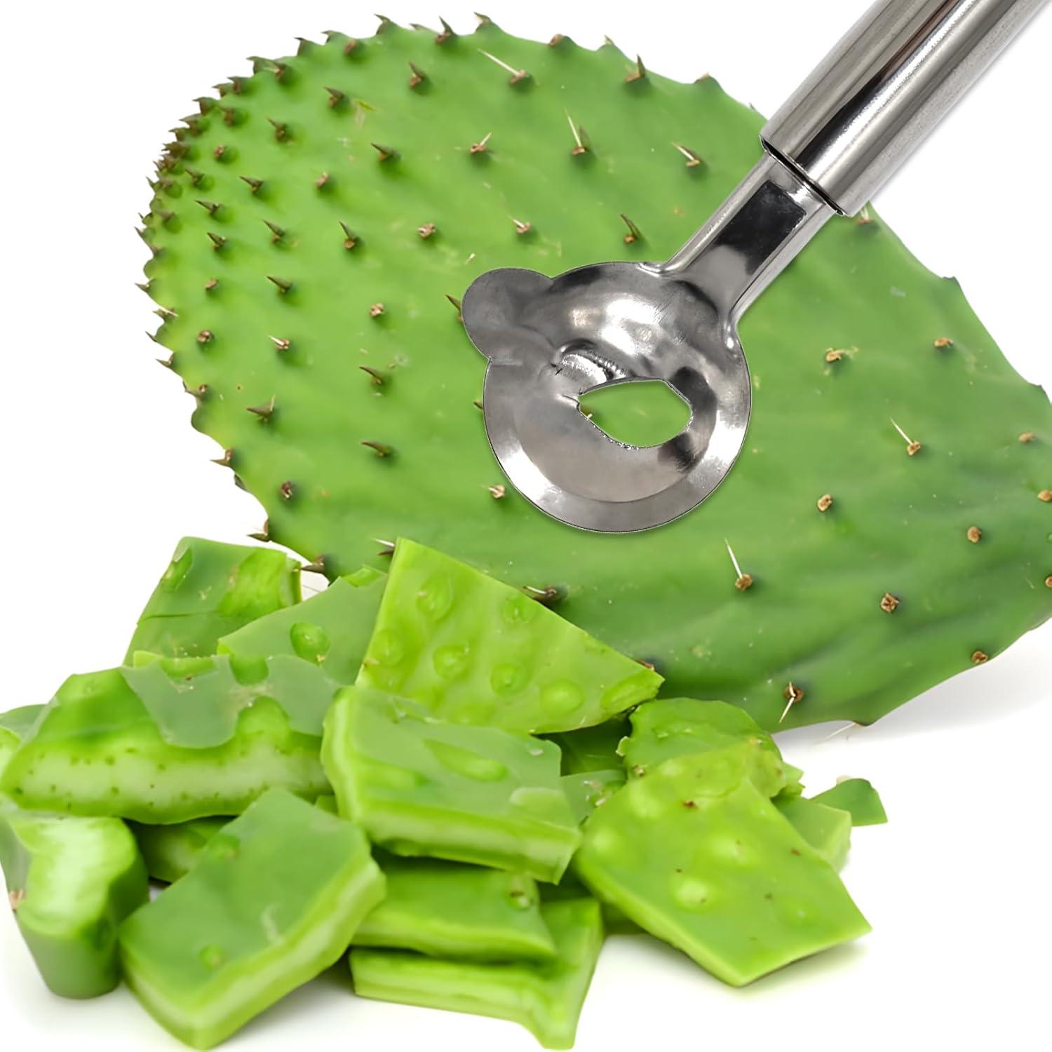 Set de 4 Peladores de Cactus Xorim de Acero Inoxidable 18.8 cm