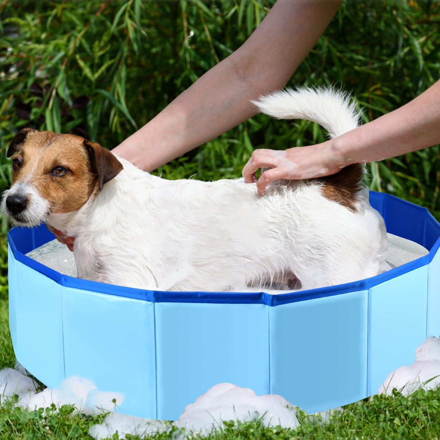 Piscina Plegable para Perros Tehuahui 61x20 cm PVC Azul