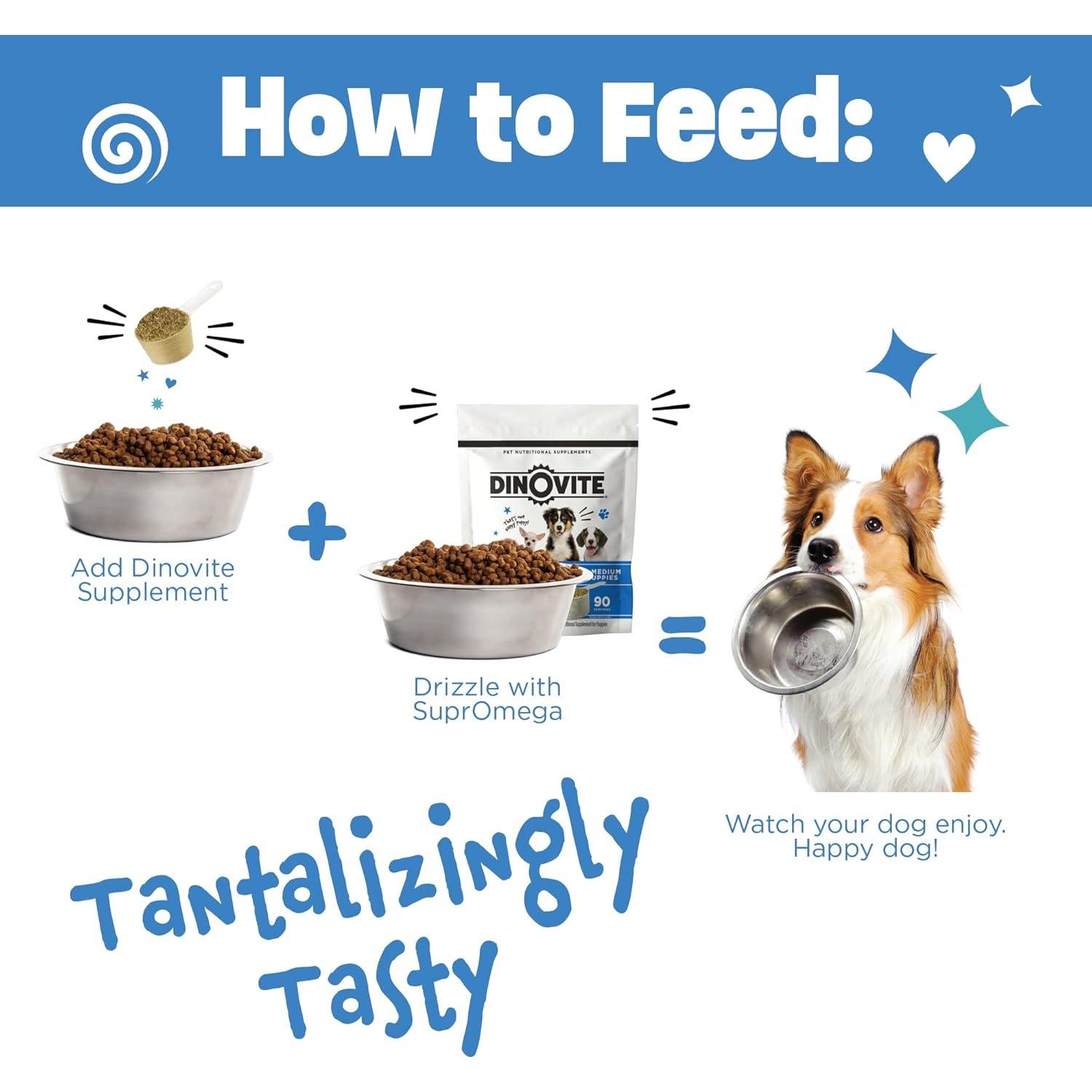 Suplemento Probiotico 3 en 1 Dinovite para Cachorros 90 Días