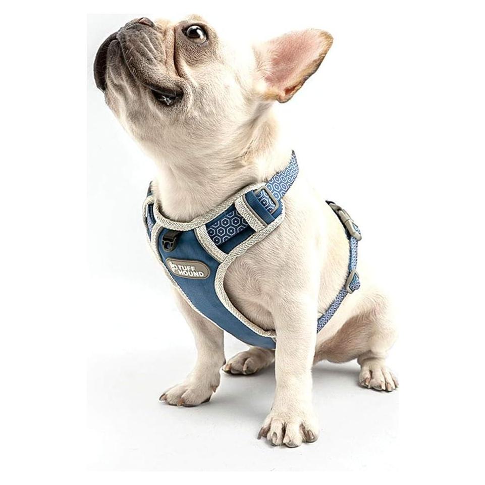 Arnés para Perro Tuff Hound Ajustable Reflectante Azul S