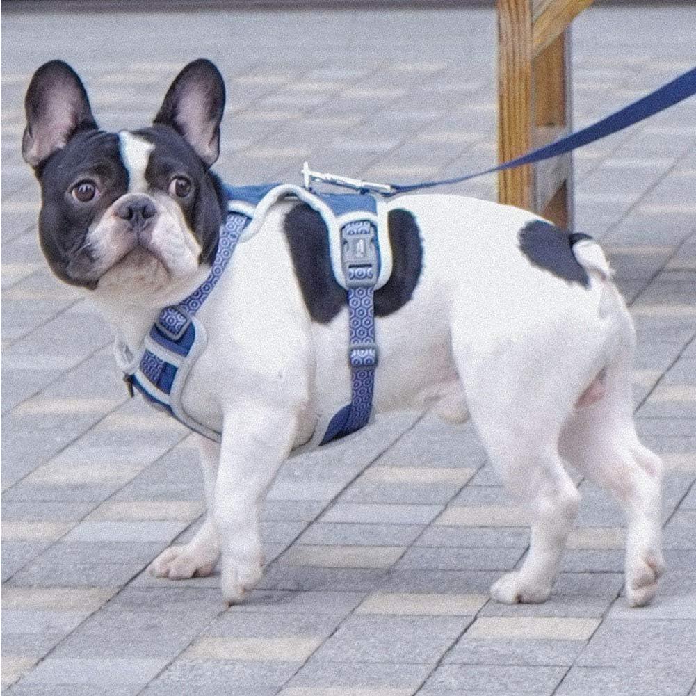 Arnés para Perro Tuff Hound Ajustable Reflectante Azul S