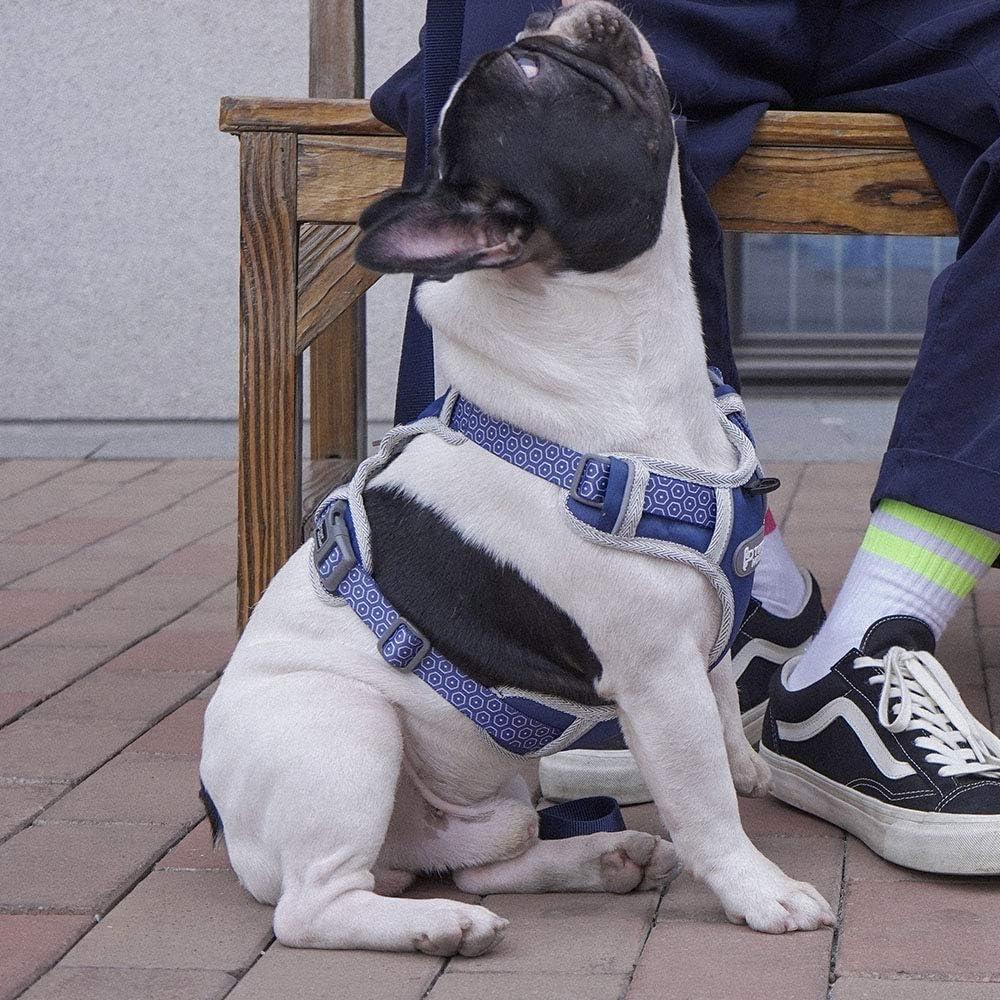 Arnés para Perro Tuff Hound Ajustable Reflectante Azul S