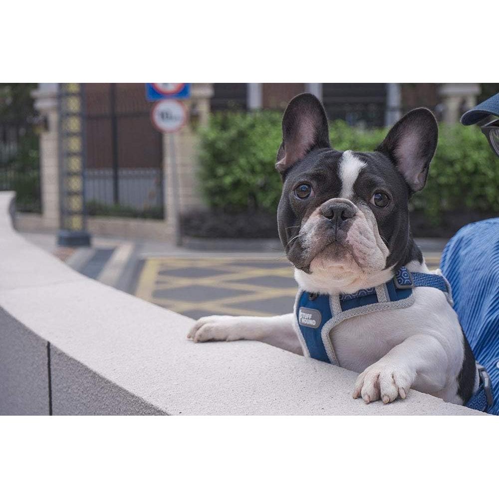 Arnés para Perro Tuff Hound Ajustable Reflectante Azul S